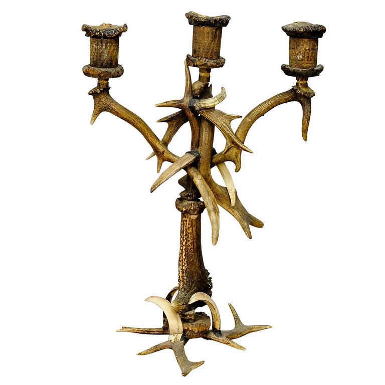 Black Forest Antler Candle Holder, circa 1900 For Sale at 1stdibs
