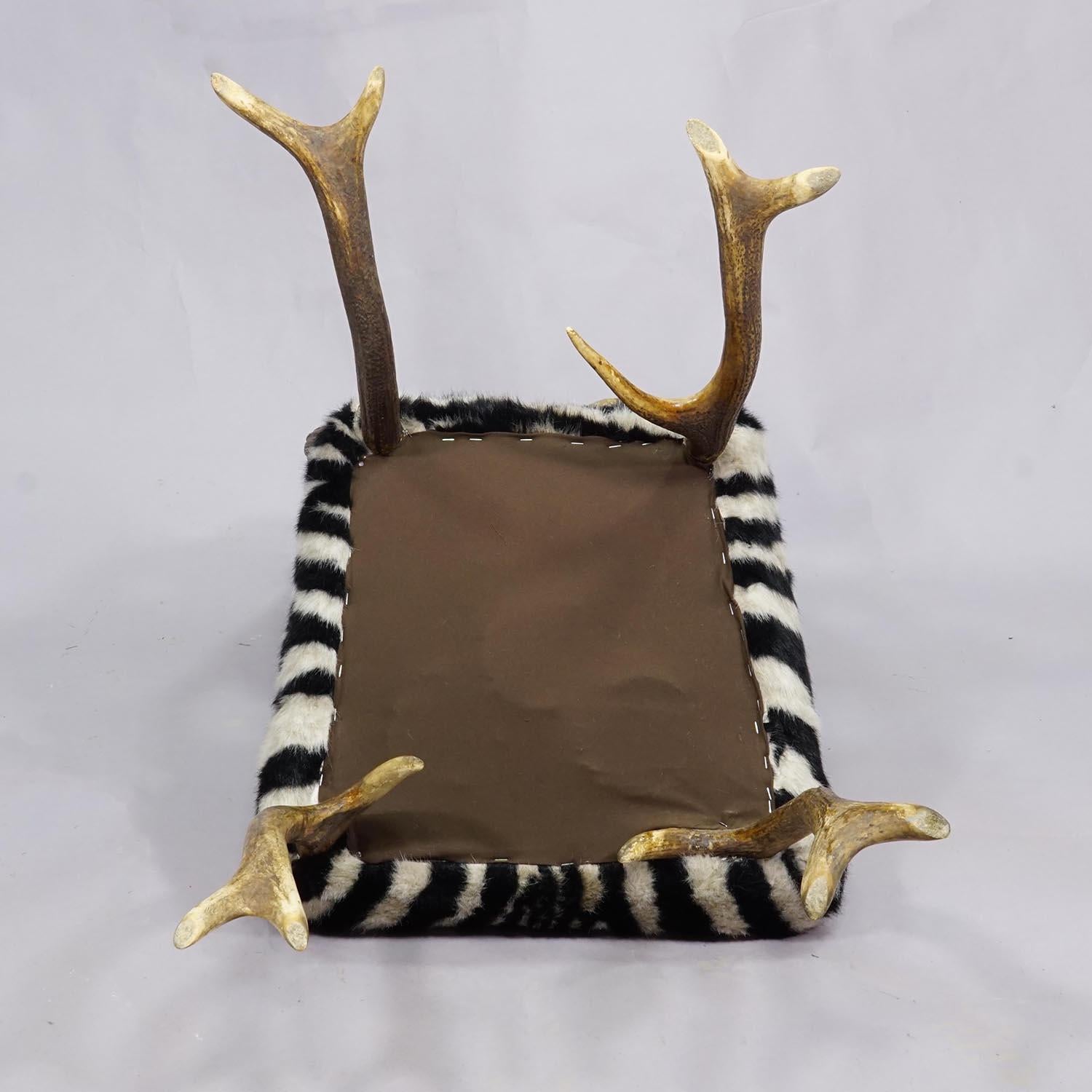 Black Forest Geweihsessel mit Fellbezug 19. Jahrhundert im Angebot 2