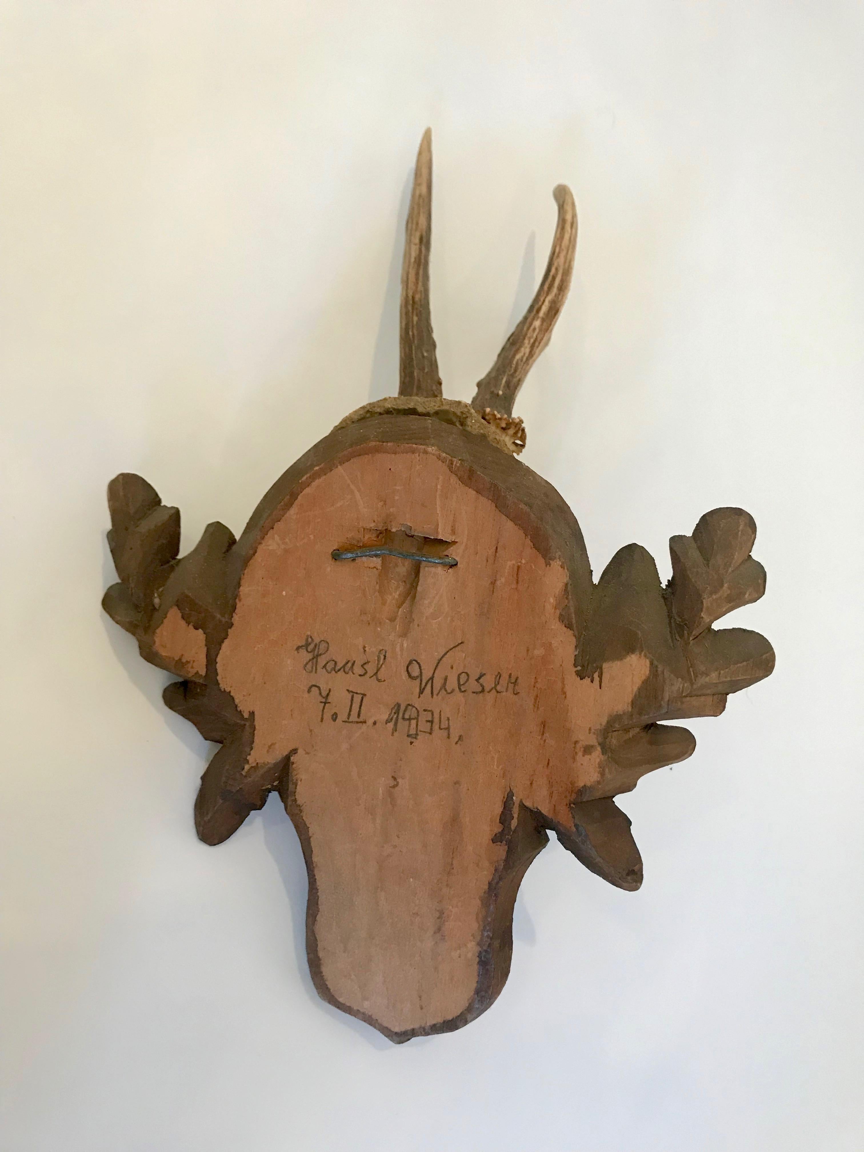 Black Forest Antler Trophies Mounted on a Shield Back with Leaf Decoration For Sale 5