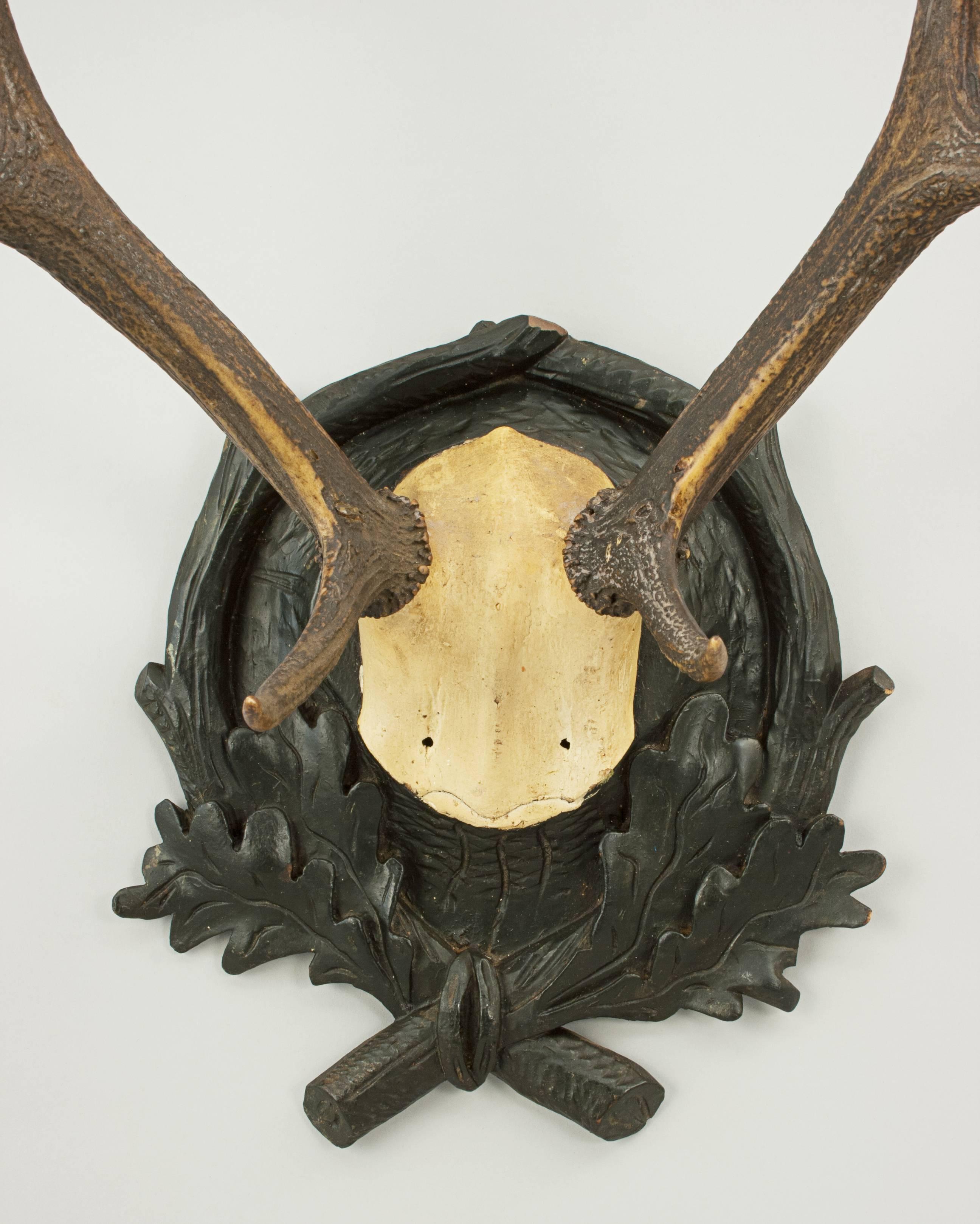 Black Forest Antlers on Shield In Good Condition In Oxfordshire, GB