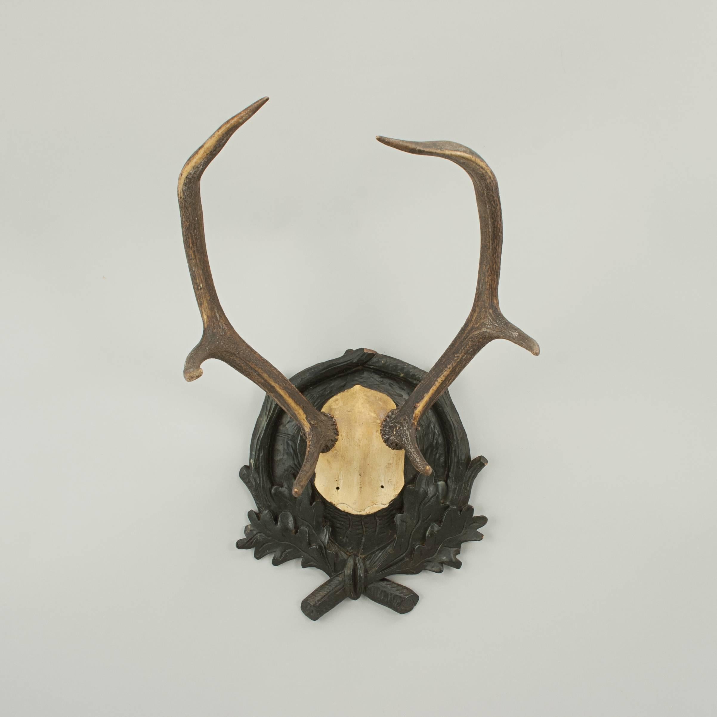 Black Forest Antlers on Shield 1