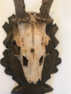 Black Forest Antlers Trophy with Leaf and Branch Decoration on the Mount