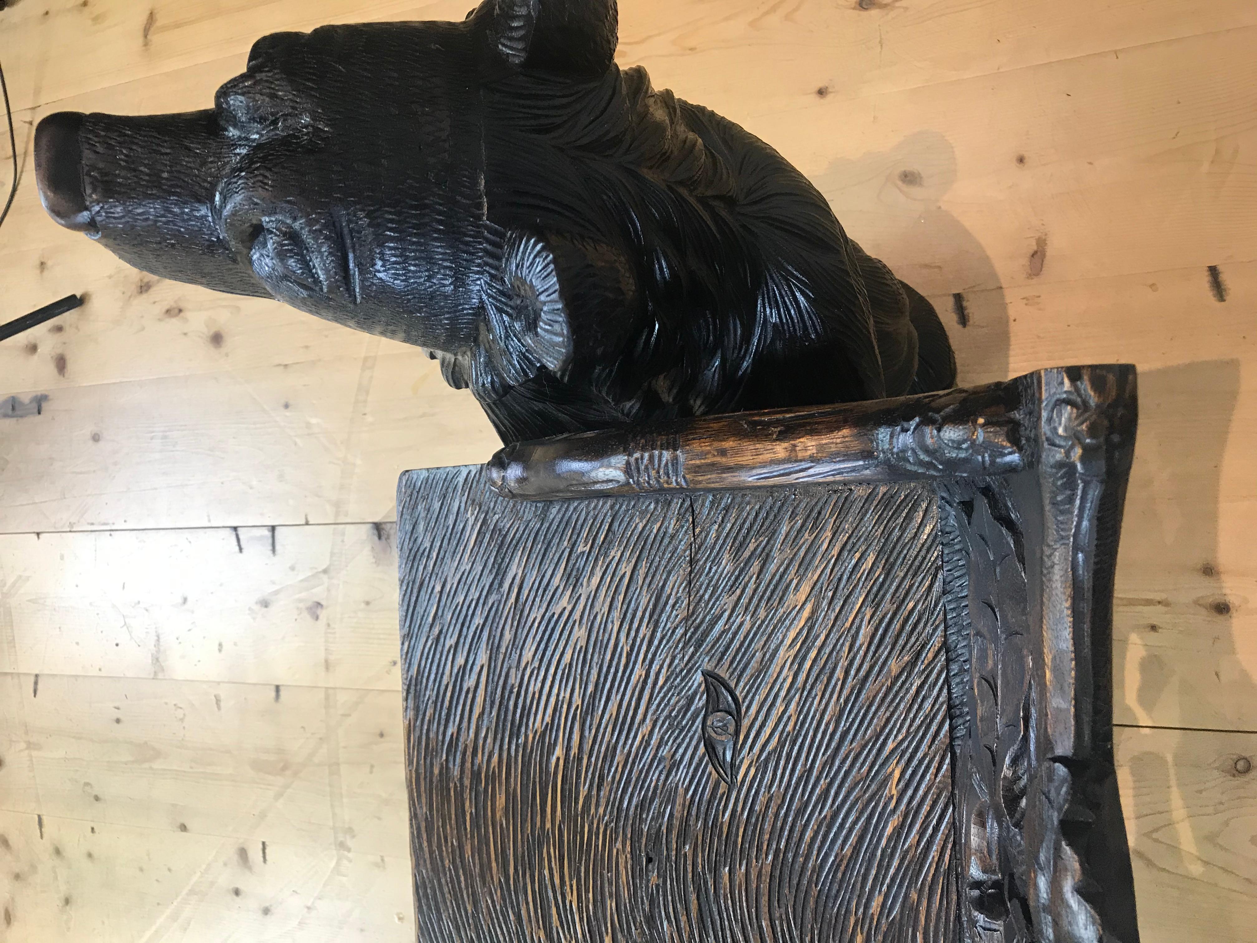 Black Forest Bear Bench, 20th Century 7