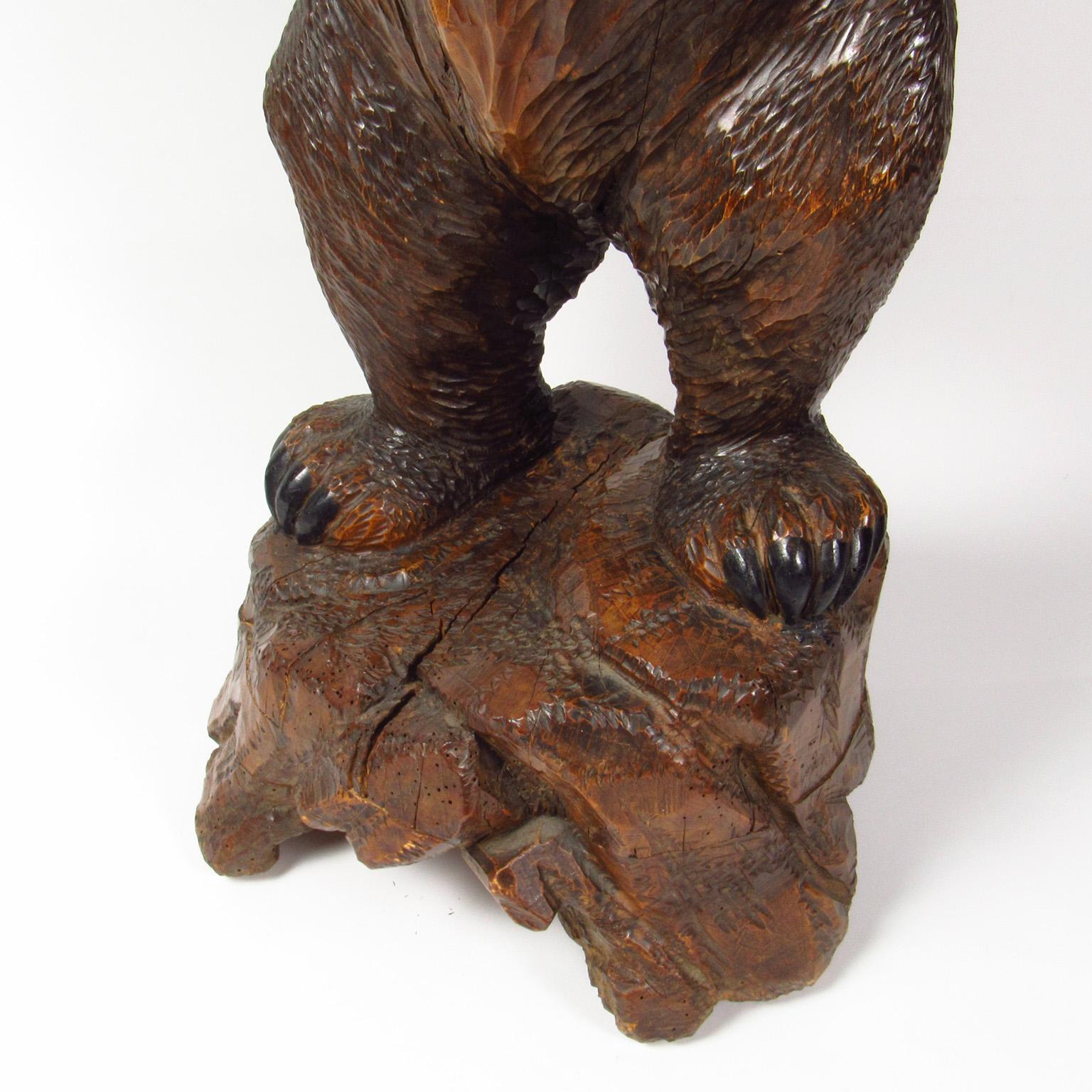 Black Forest Bear Form Carved Walnut Dumbwaiter 2