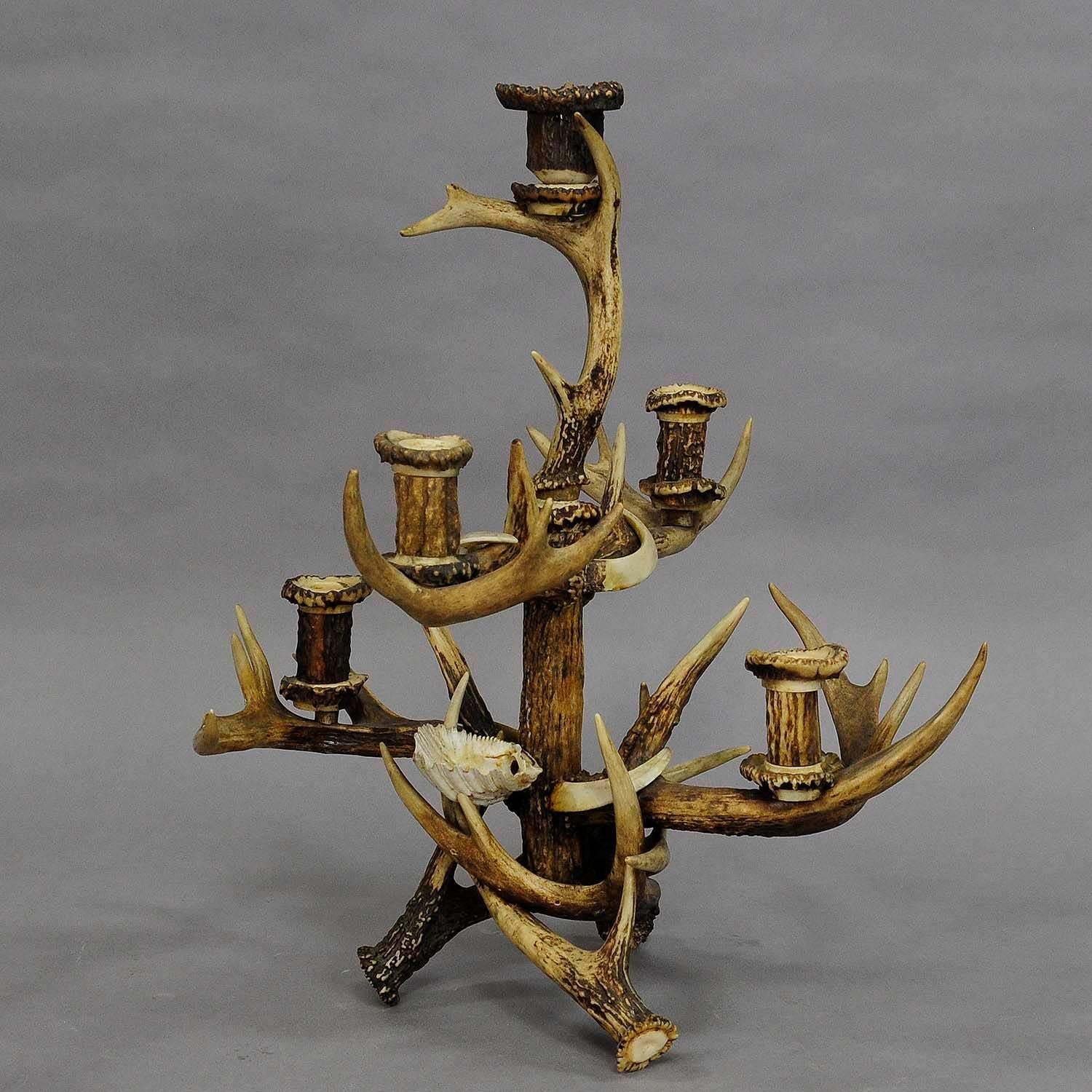Chandelier en bois de cerf décoratif Black Forest Cabine, circa 1900

Un très rare et superbe candélabre à cinq bras, avec cinq becs de bougie. En bois de cerf et de cerf de virginie d'origine, becs verseurs en cornes tournées et décorations en bois