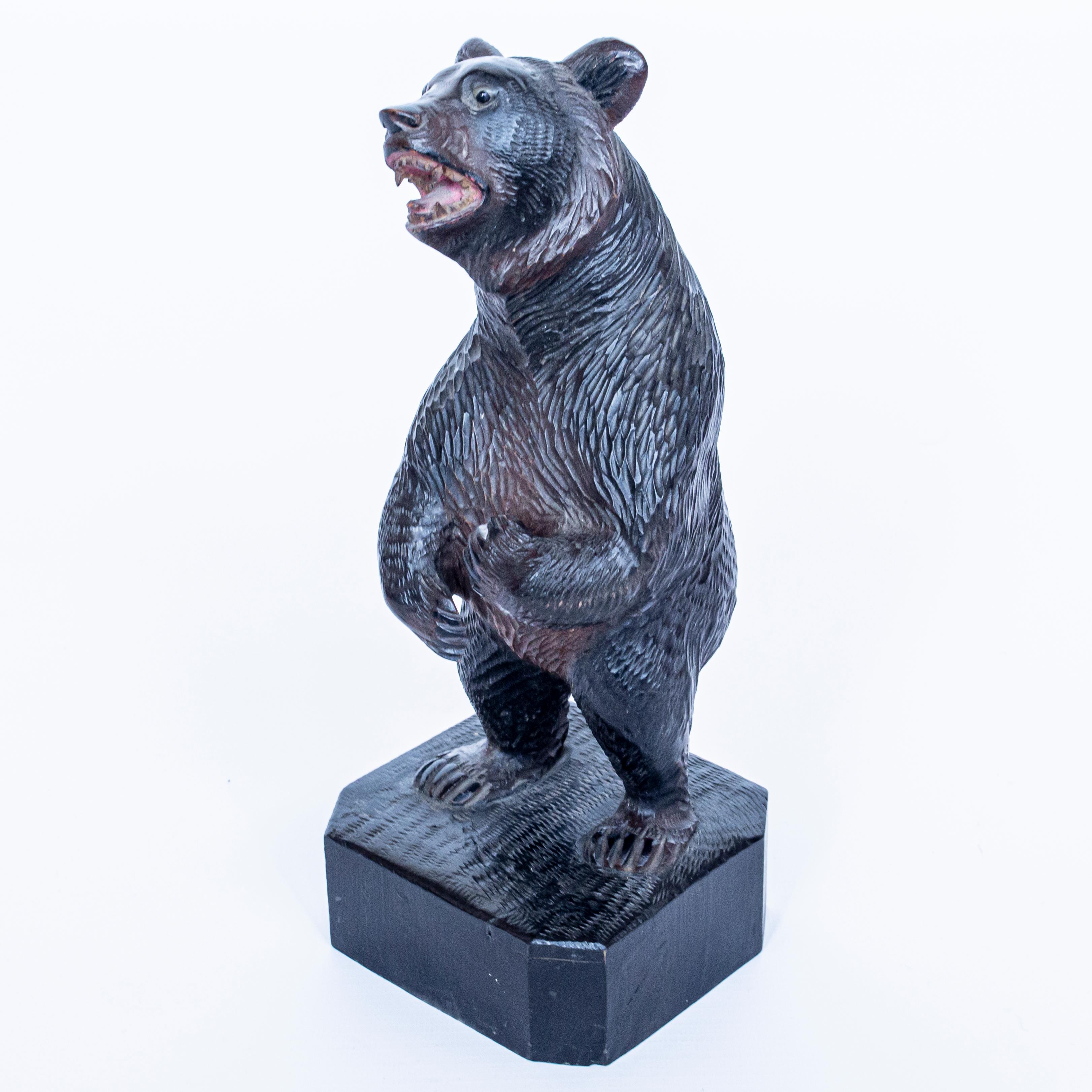 A Black Forest upright carved bear. Finely carved detail. Original glass eyes. 

Origin: Swiss

Date: circa 1890

Height: H 27cm, W 10cm, D 10cm 

Item no: 0602202003.