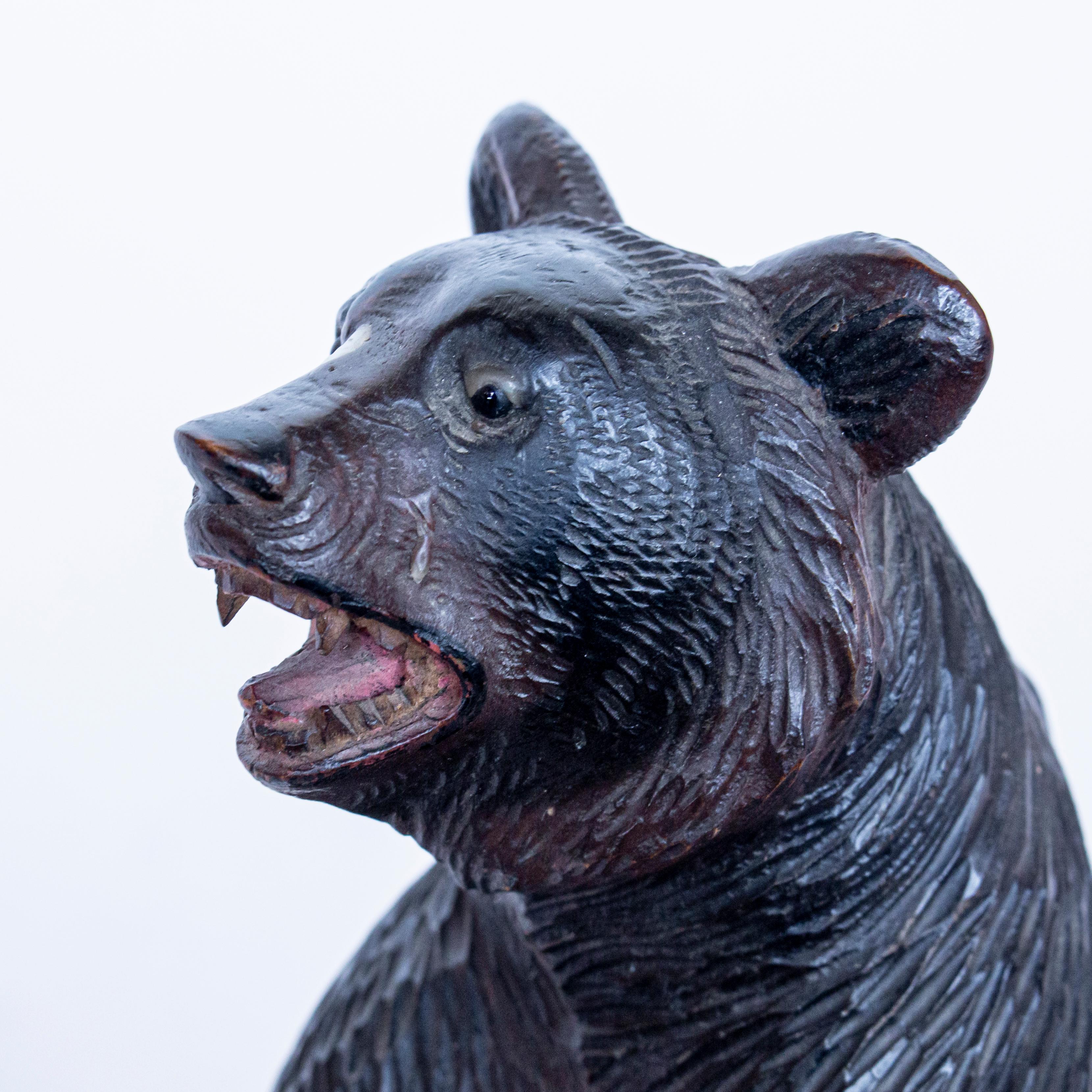 Black Forest Upright Carved Bear with Original Glass Eyes, Swiss Circa, 1890  3