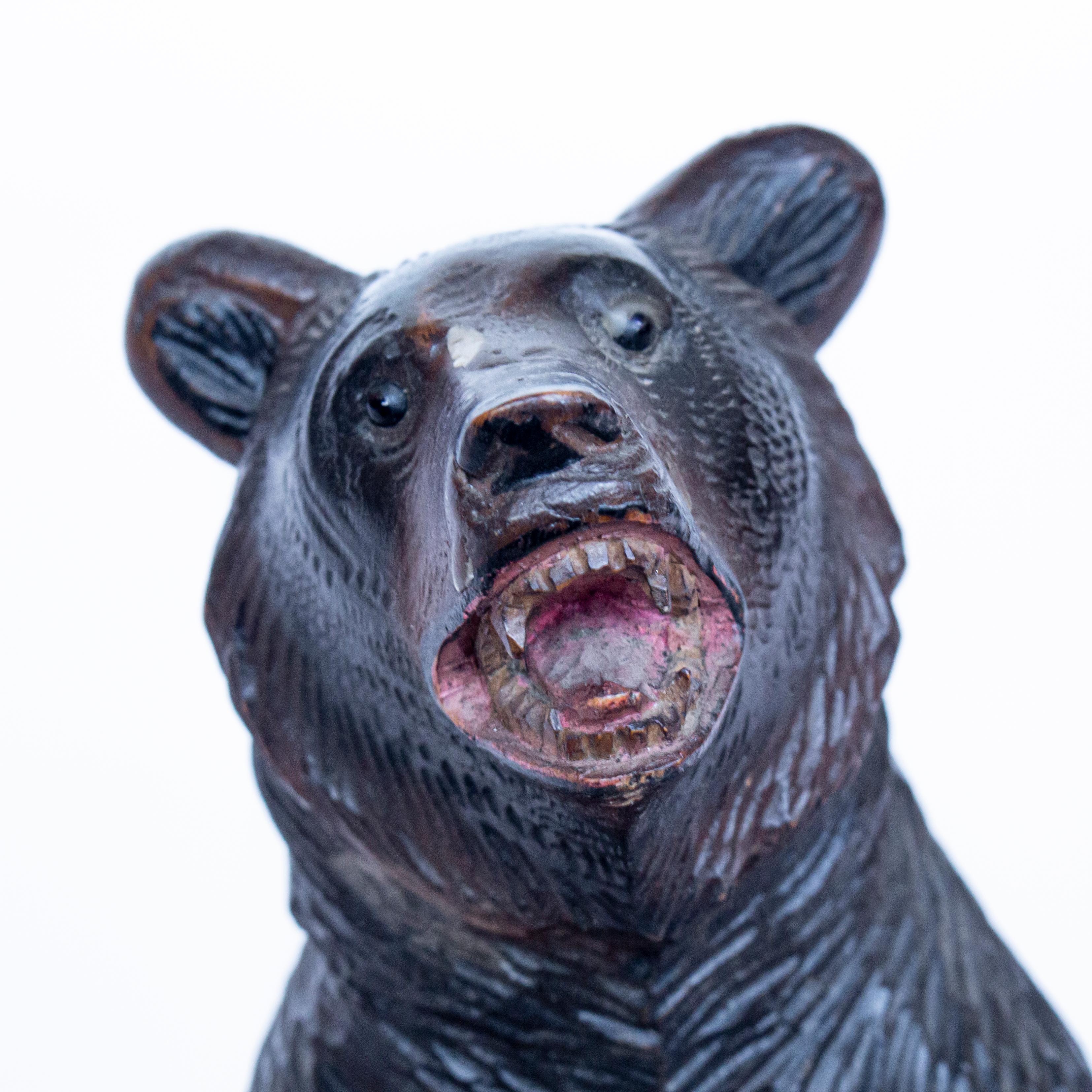 Black Forest Upright Carved Bear with Original Glass Eyes, Swiss Circa, 1890  4
