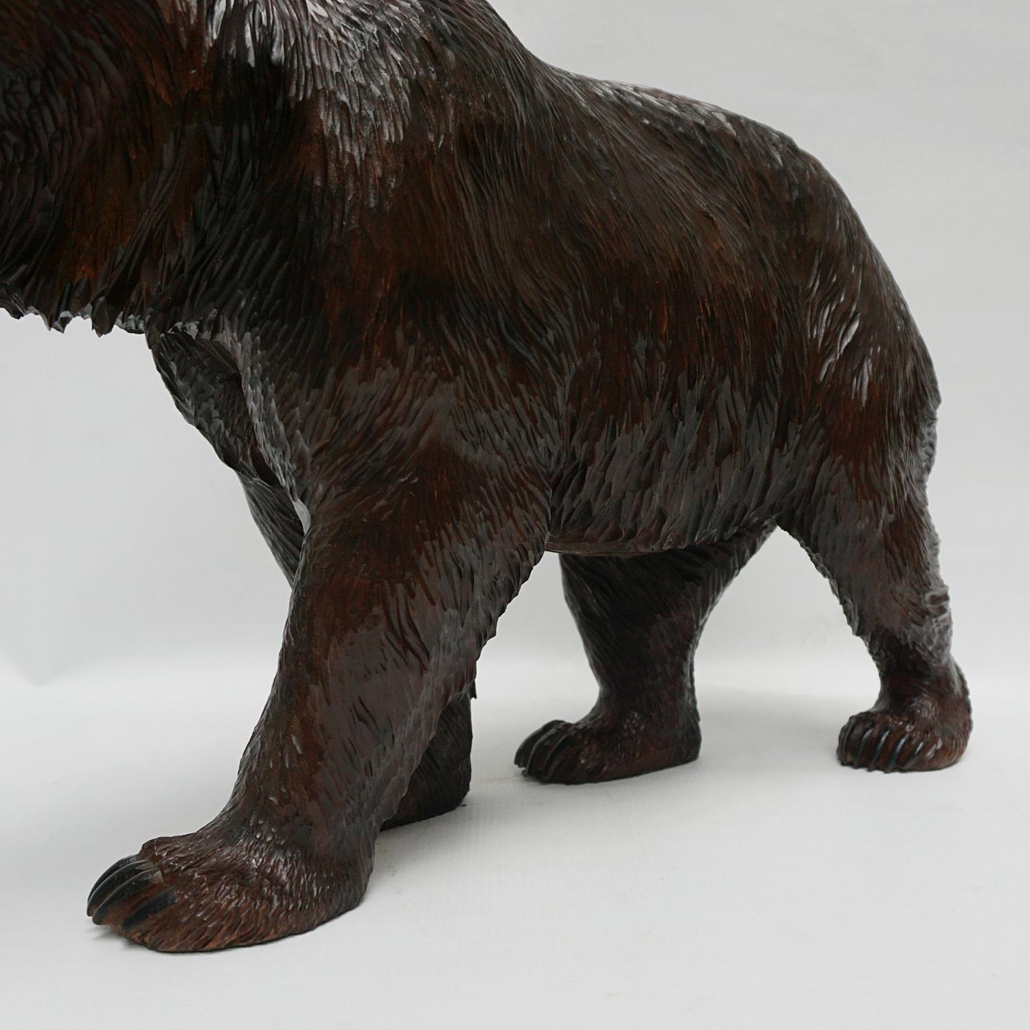 Black Forest Carved Bear Swiss Circa 1890 4