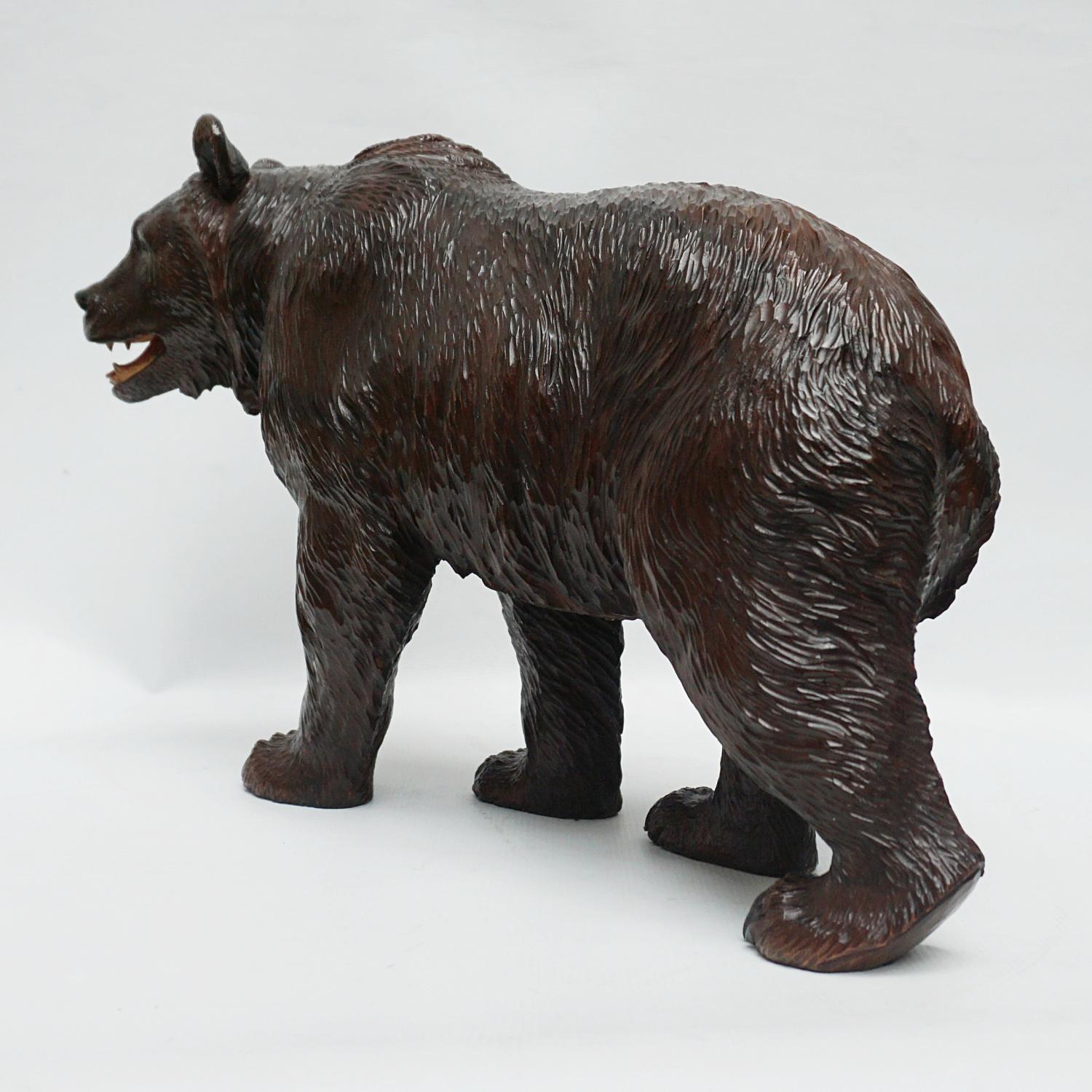 Black Forest Carved Bear Swiss Circa 1890 6