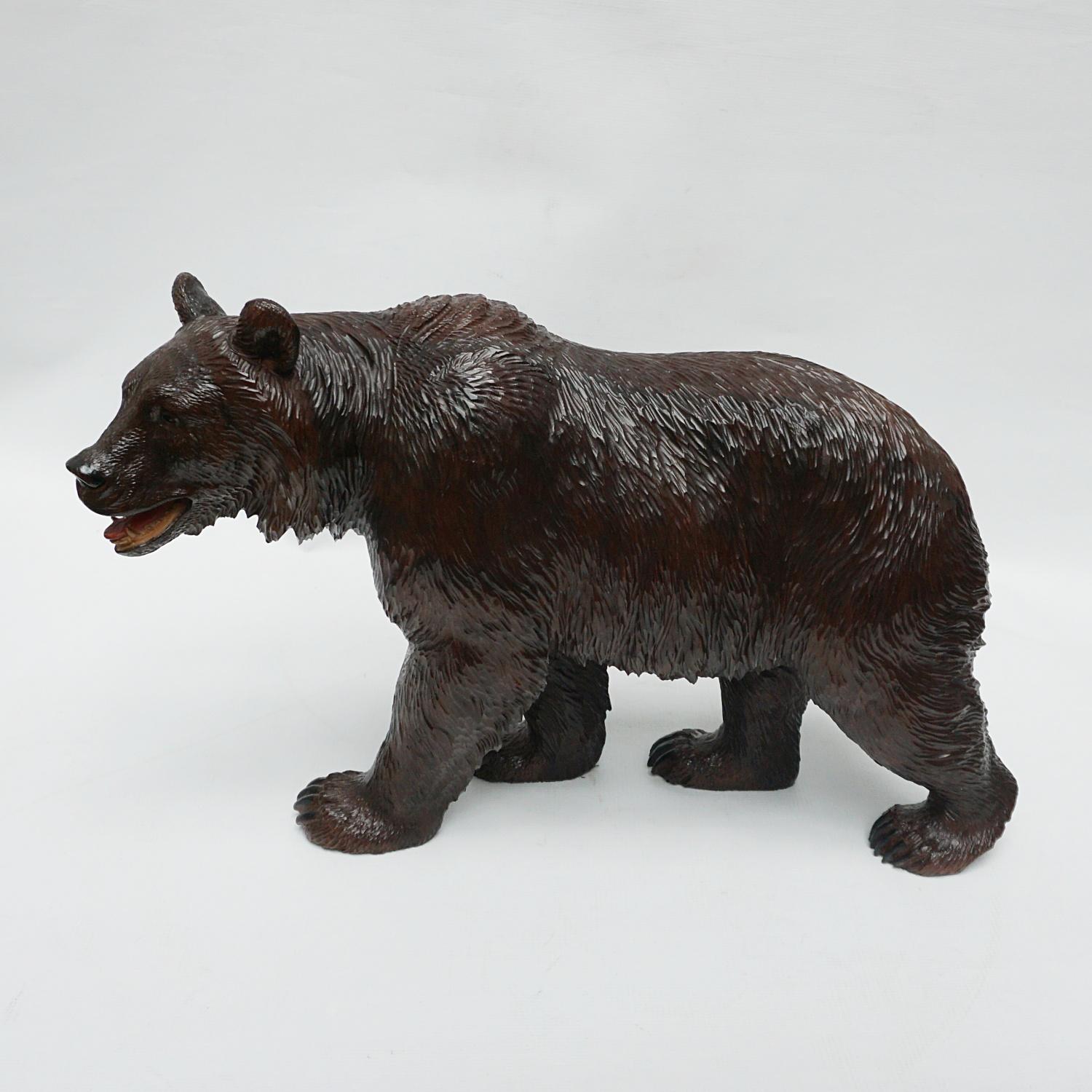Black Forest Carved Bear Swiss Circa 1890 7