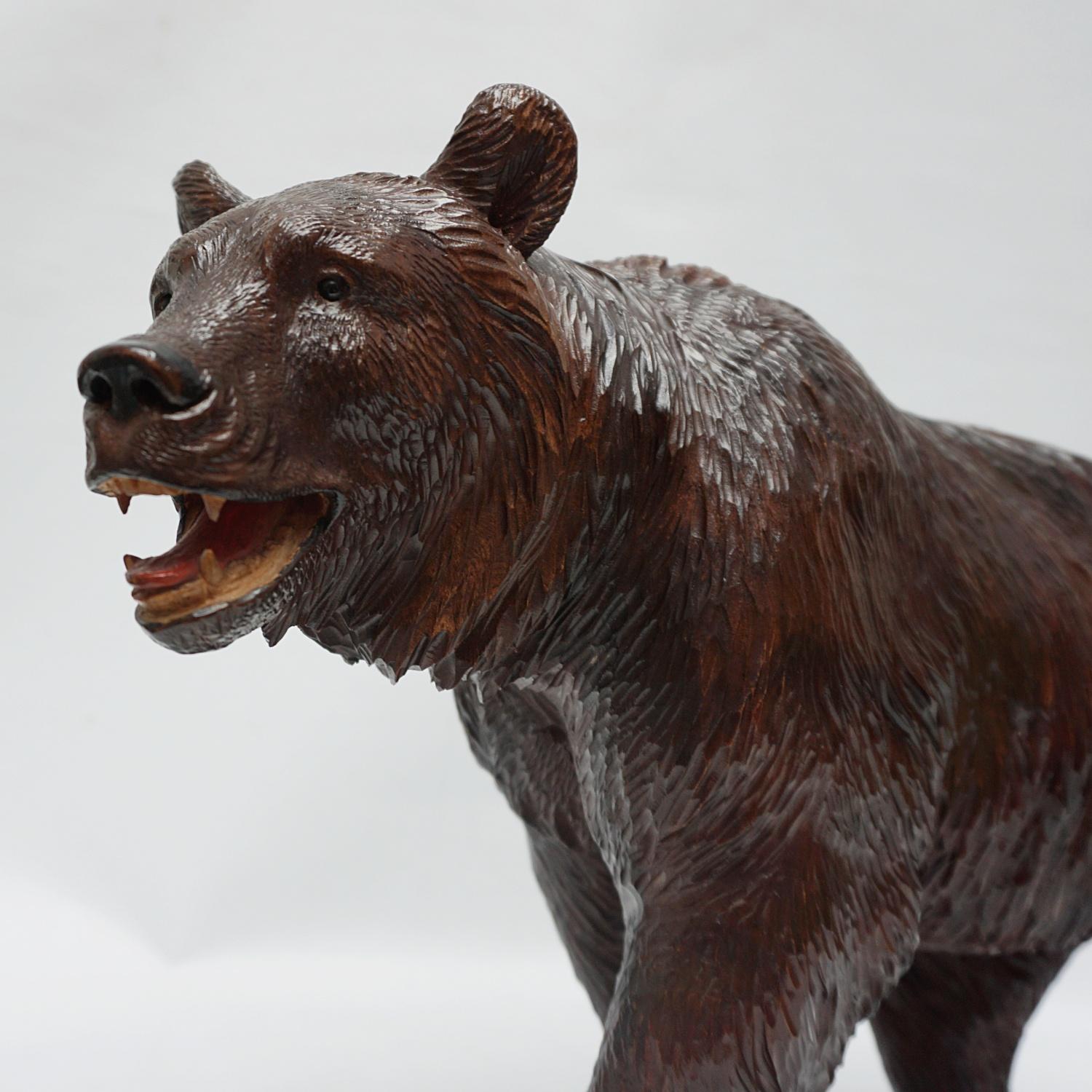 Black Forest Carved Bear Swiss Circa 1890 8