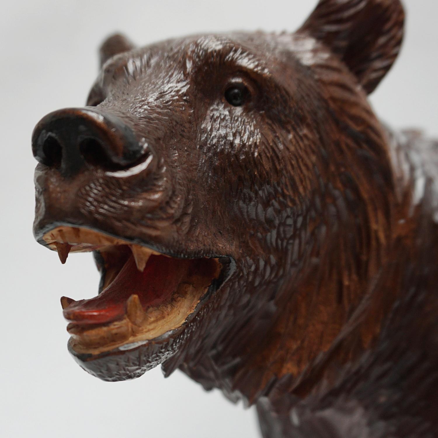 Black Forest Carved Bear Swiss Circa 1890 9