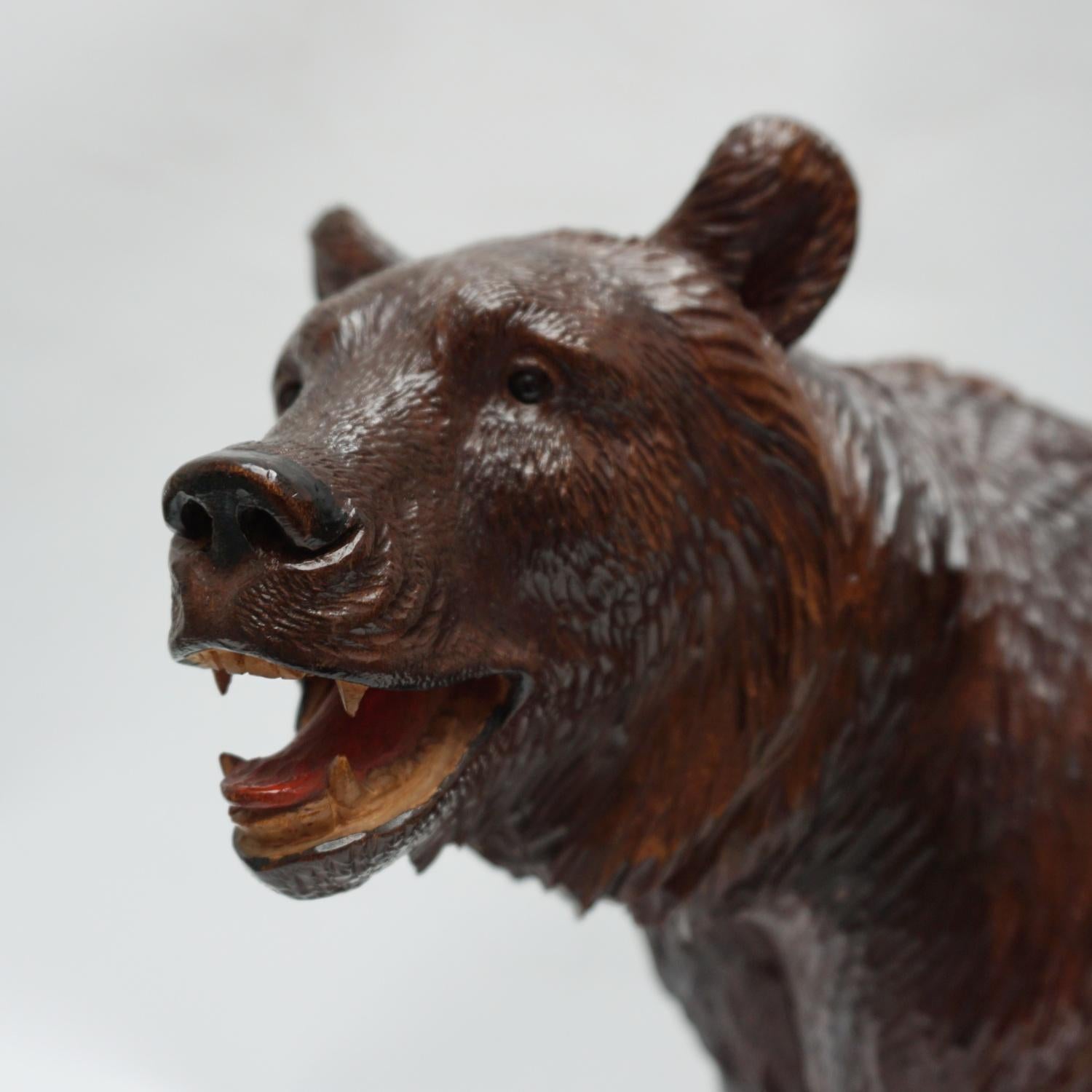 Black Forest Carved Bear Swiss Circa 1890 10