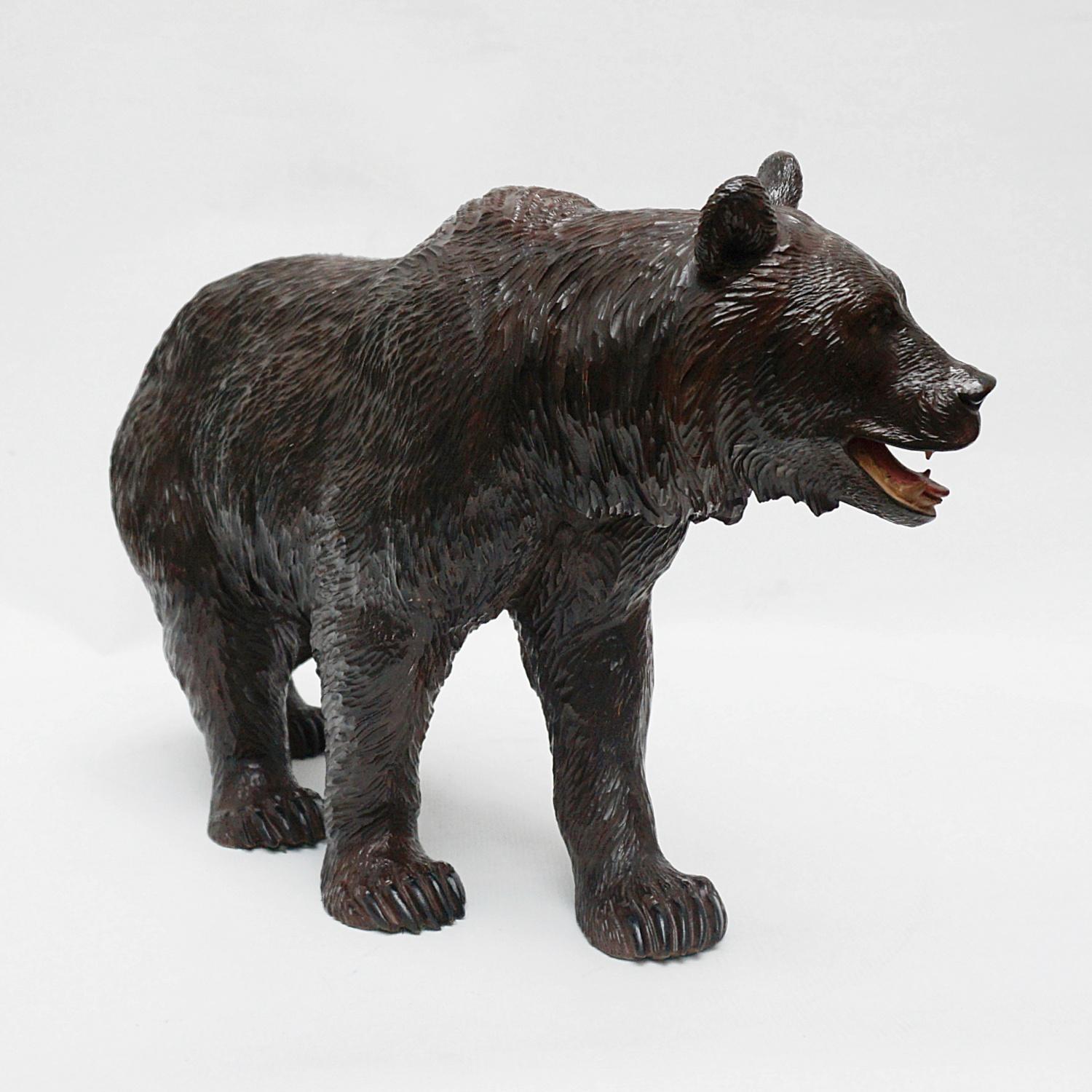 Black Forest Carved Bear Swiss Circa 1890 In Excellent Condition In Forest Row, East Sussex