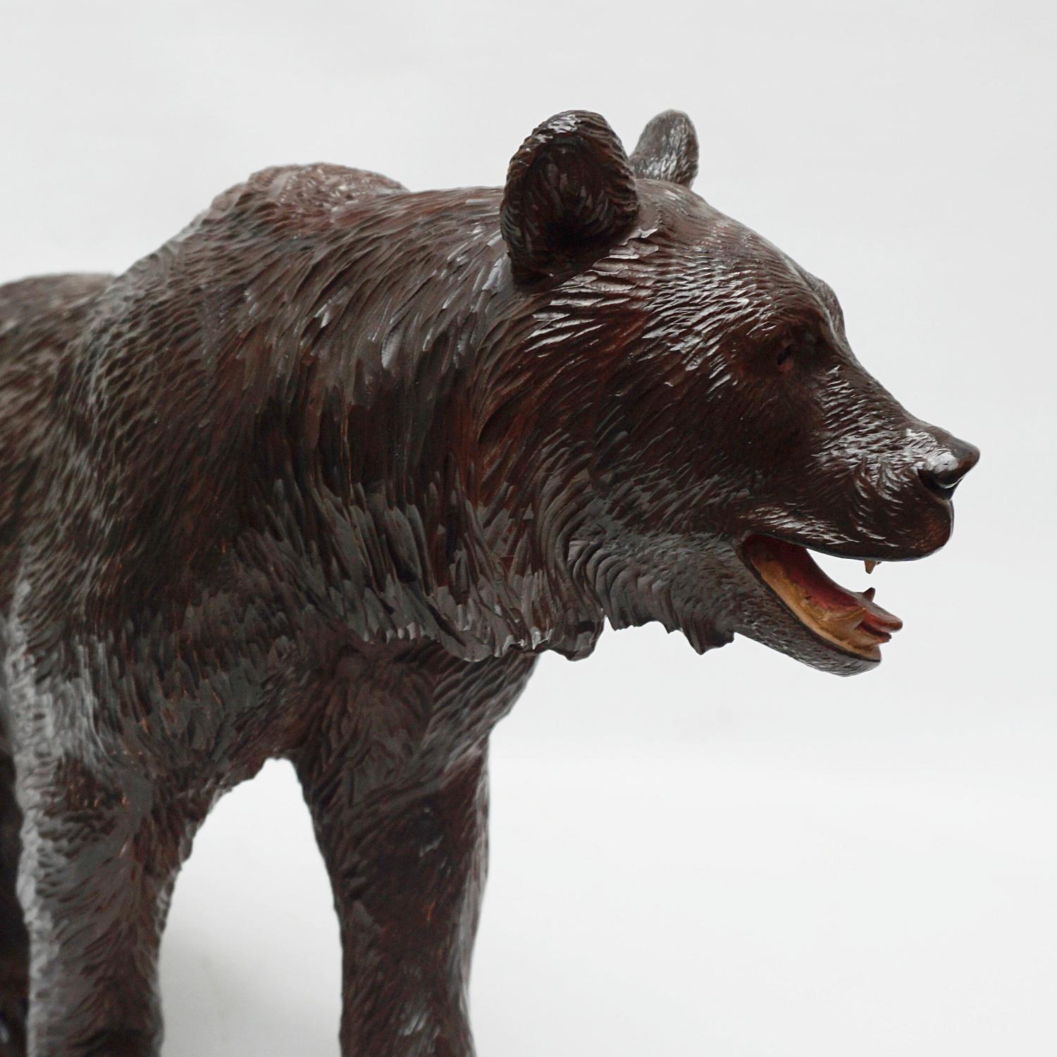 Late 19th Century Black Forest Carved Bear Swiss Circa 1890