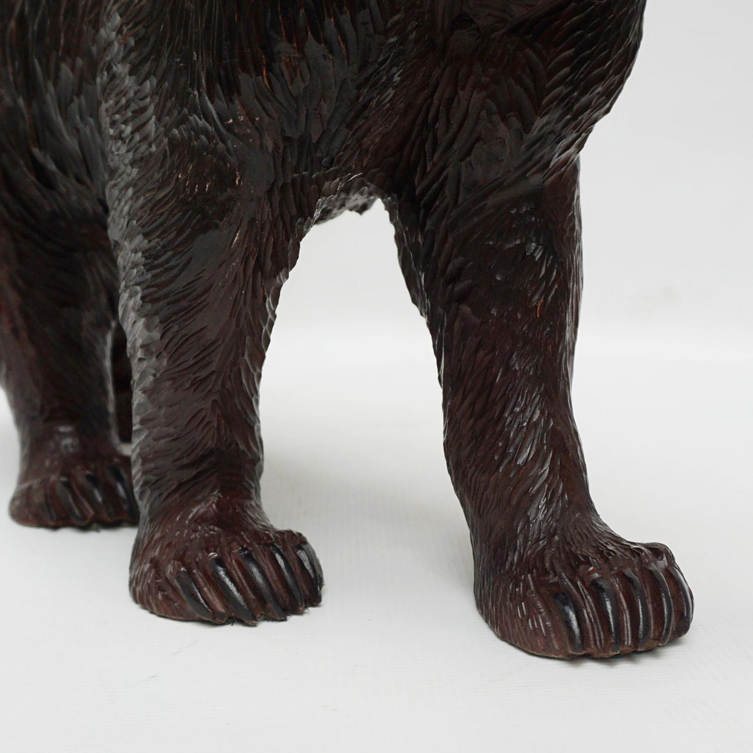 Wood Black Forest Carved Bear Swiss Circa 1890