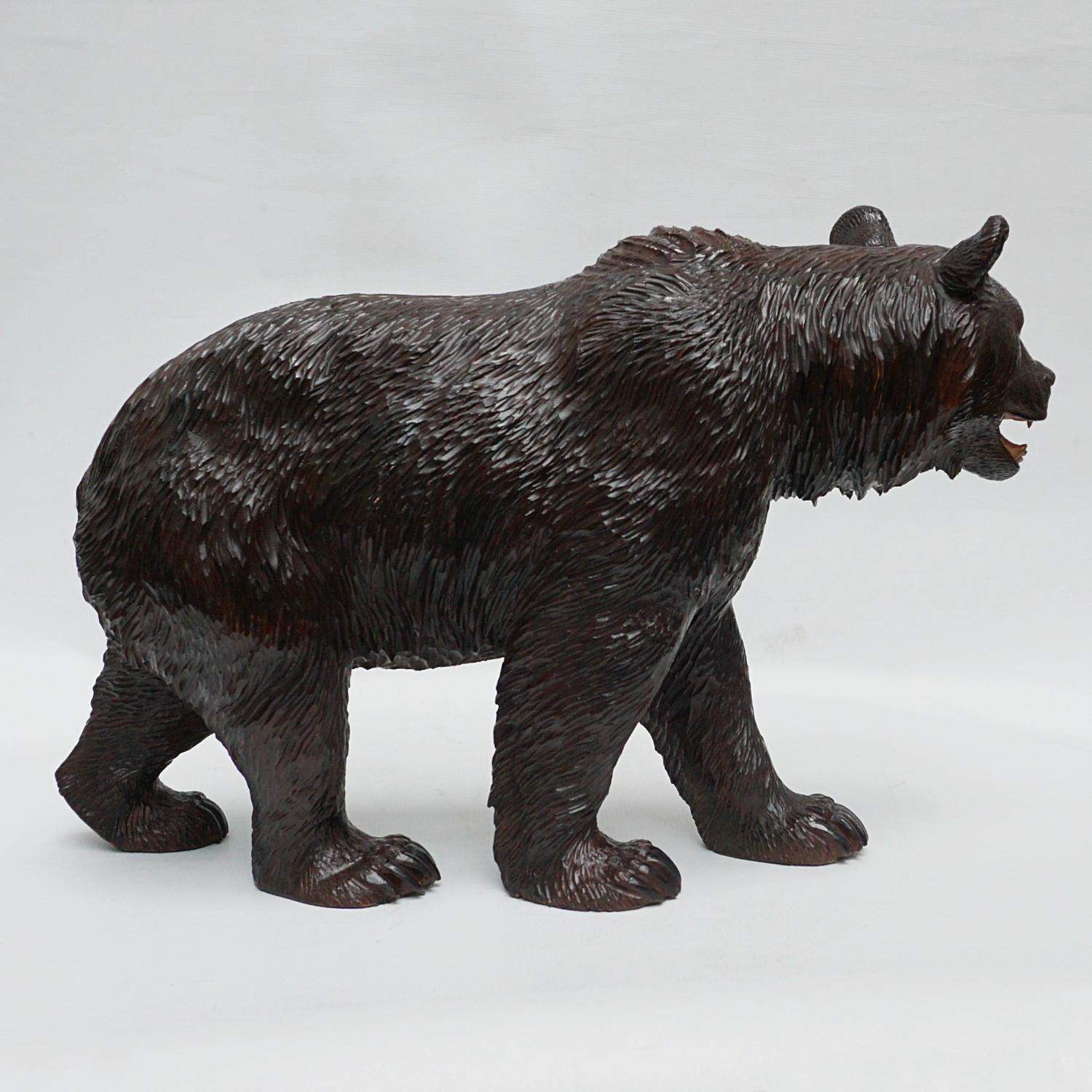 Black Forest Carved Bear Swiss Circa 1890 1