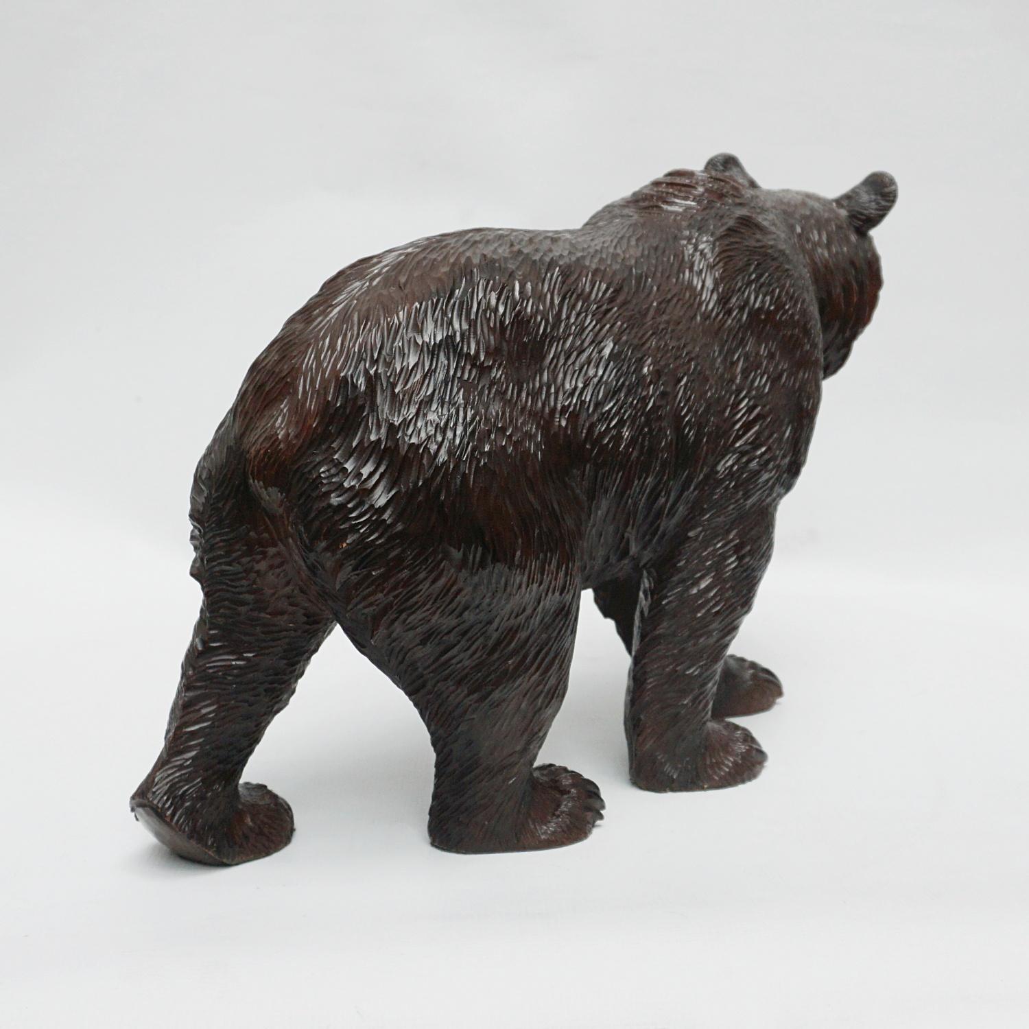 Black Forest Carved Bear Swiss Circa 1890 2
