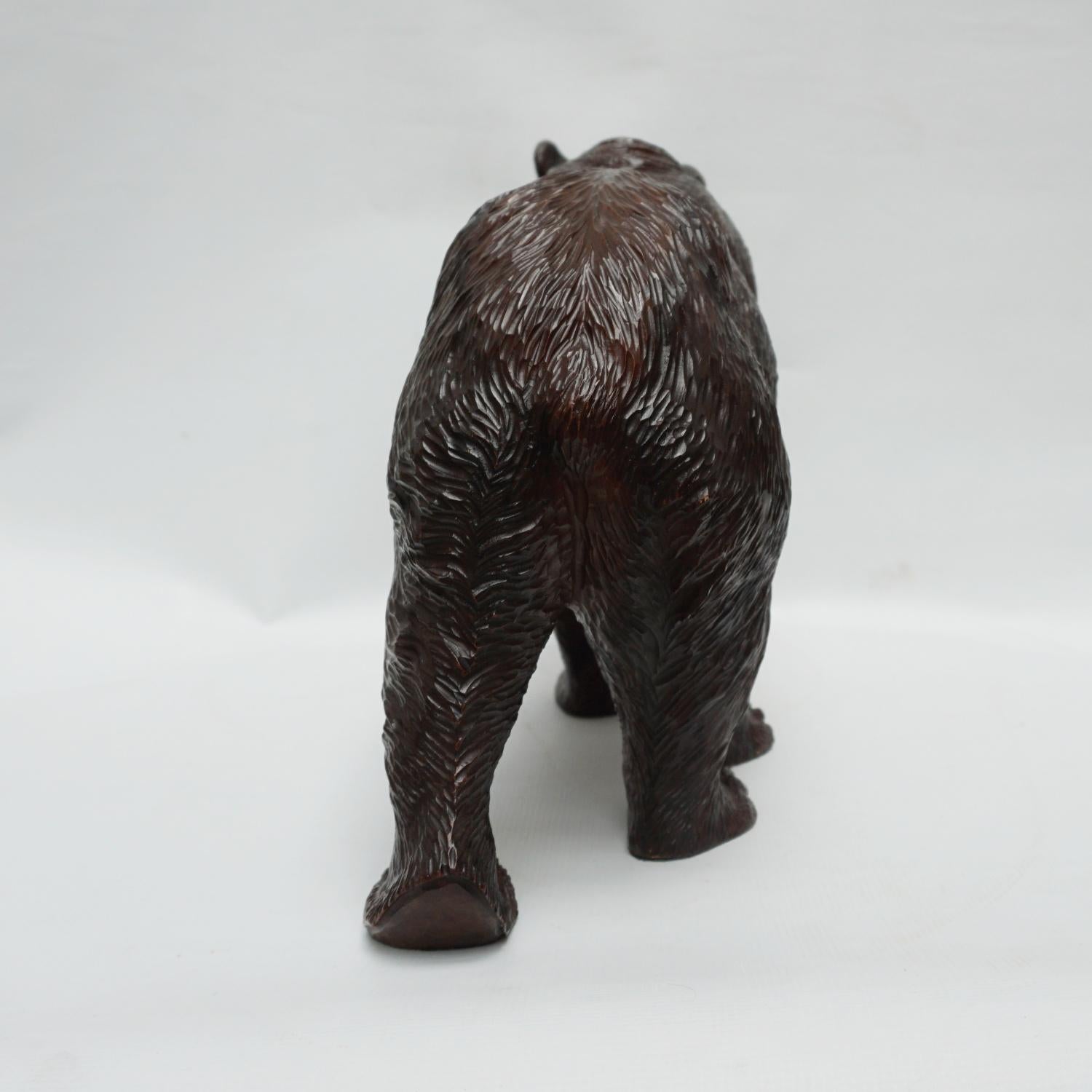 Black Forest Carved Bear Swiss Circa 1890 3