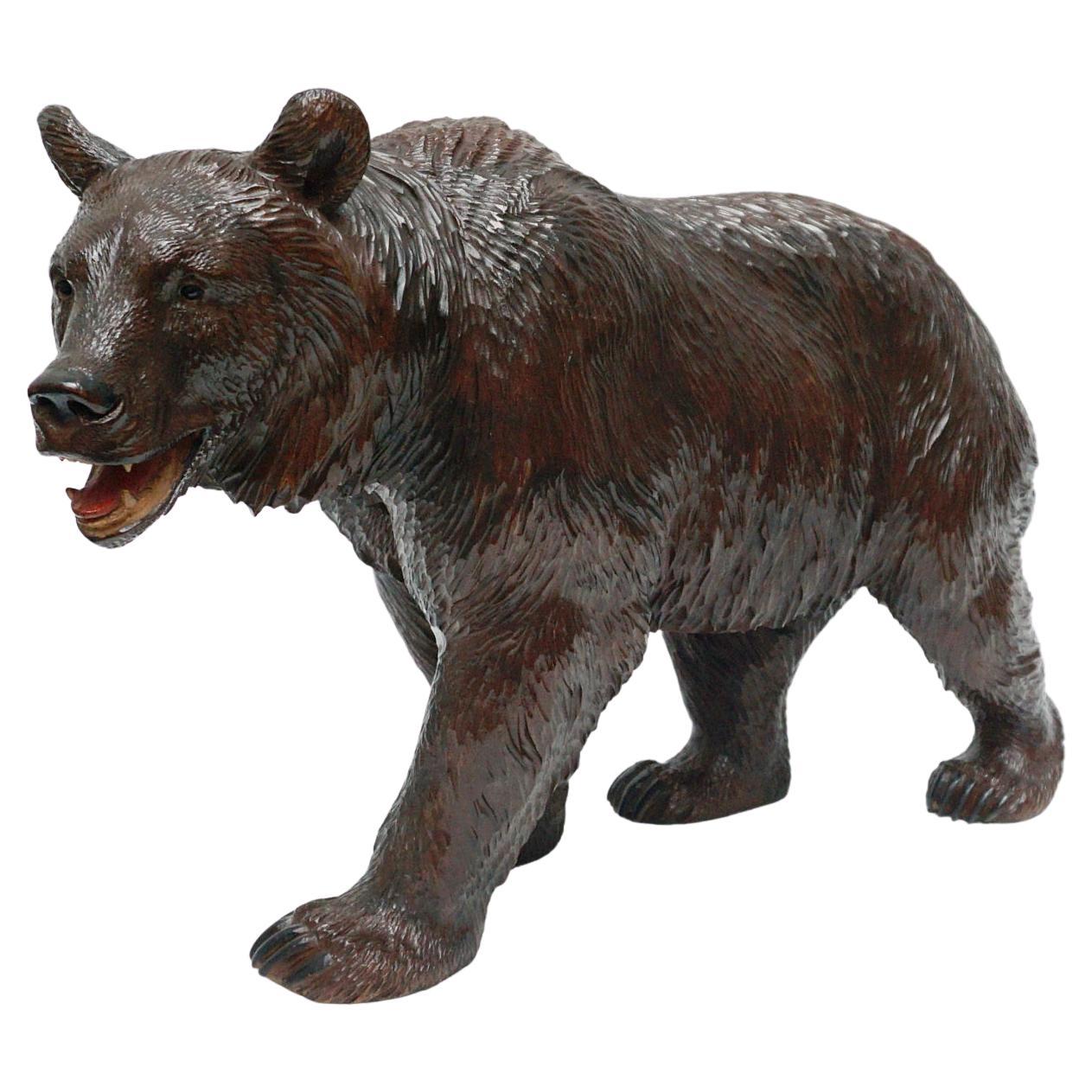 Black Forest Carved Bear Swiss Circa 1890