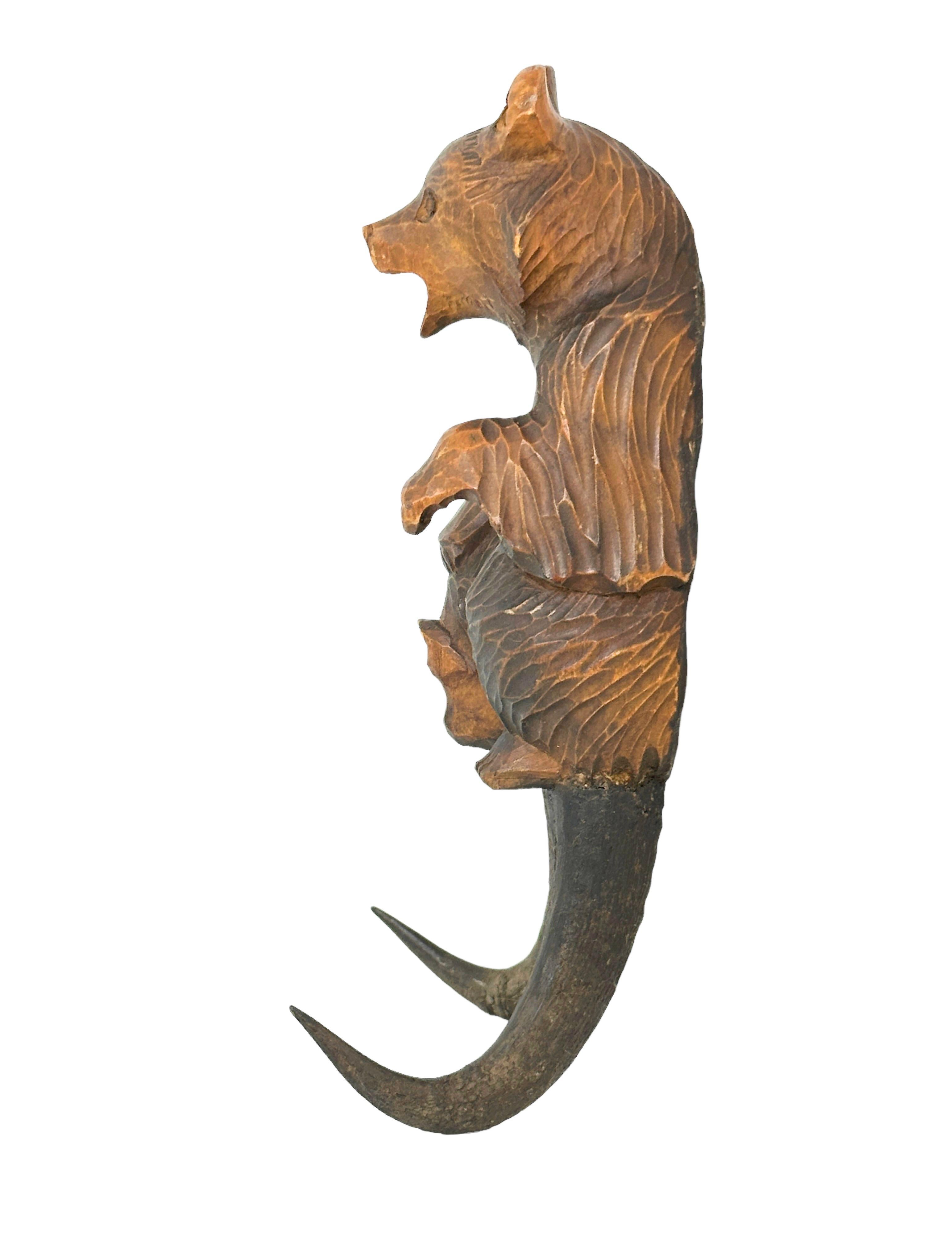 Black Forest Carved Bear Whip Holder or Wall Hook, Antique German 1890s In Good Condition For Sale In Nuernberg, DE