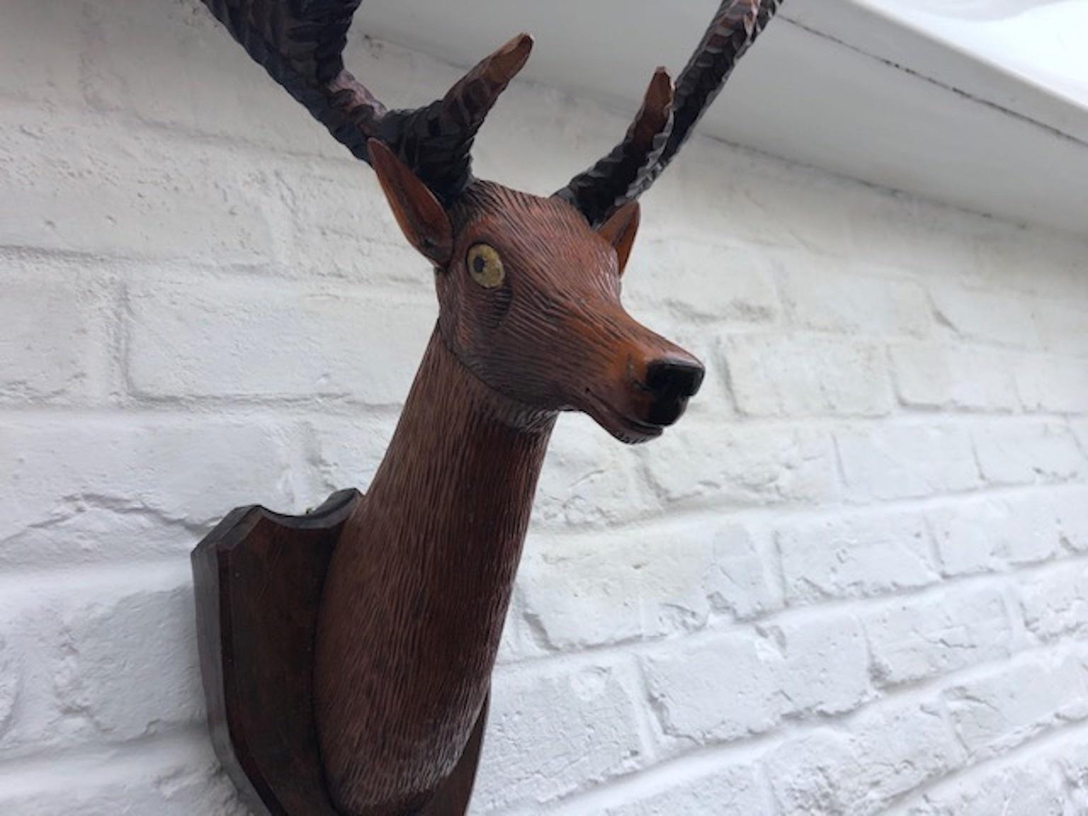 Black Forest Carved Deer or Stag Head and Antlers on Plaque, Germany, 1900 In Good Condition For Sale In Richmond, Surrey