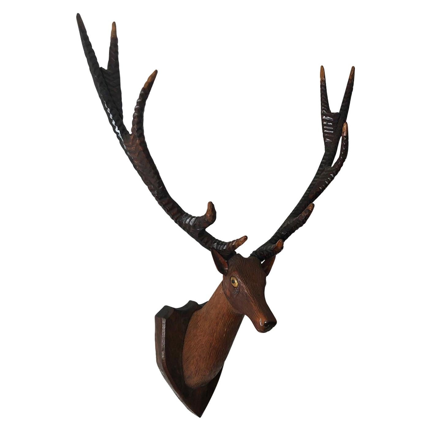 Black Forest Carved Deer or Stag Head and Antlers on Plaque, Germany, 1900 For Sale
