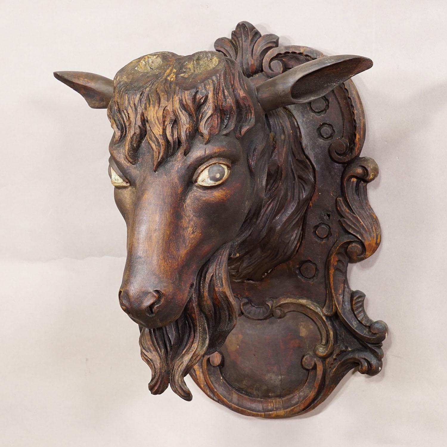 Cabeza de cabra tallada en Black Forest con grandes astas ca. 1900 en venta 2