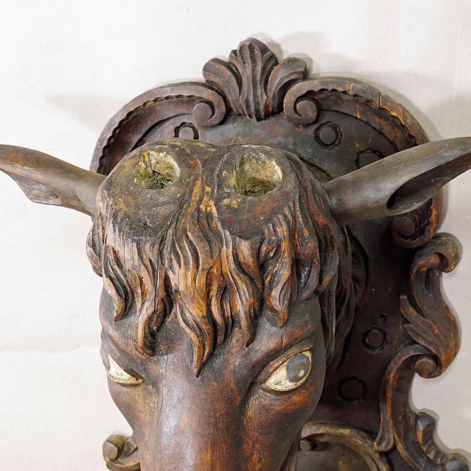 Cabeza de cabra tallada en Black Forest con grandes astas ca. 1900 en venta 3