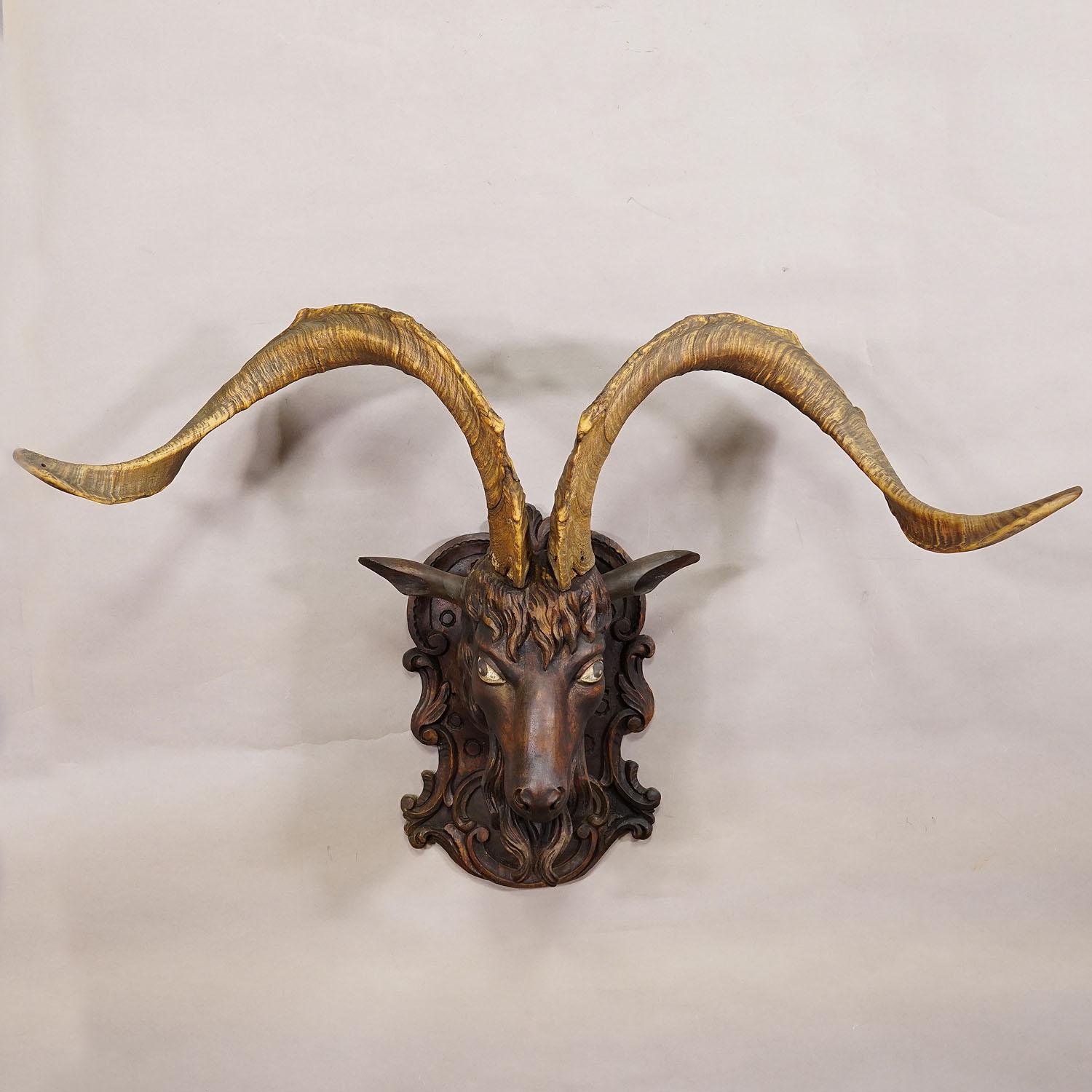 Cabeza de cabra tallada en Black Forest con grandes astas ca. 1900 Rústico en venta