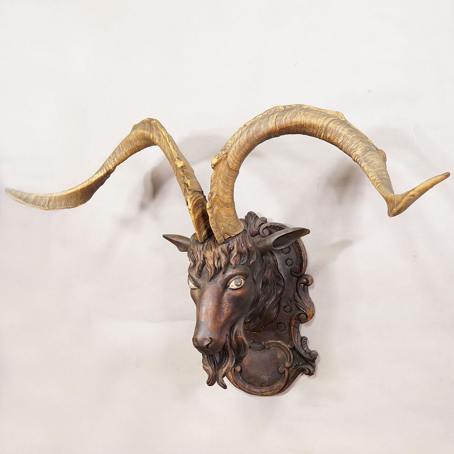 Cabeza de cabra tallada en Black Forest con grandes astas ca. 1900 Alemán en venta