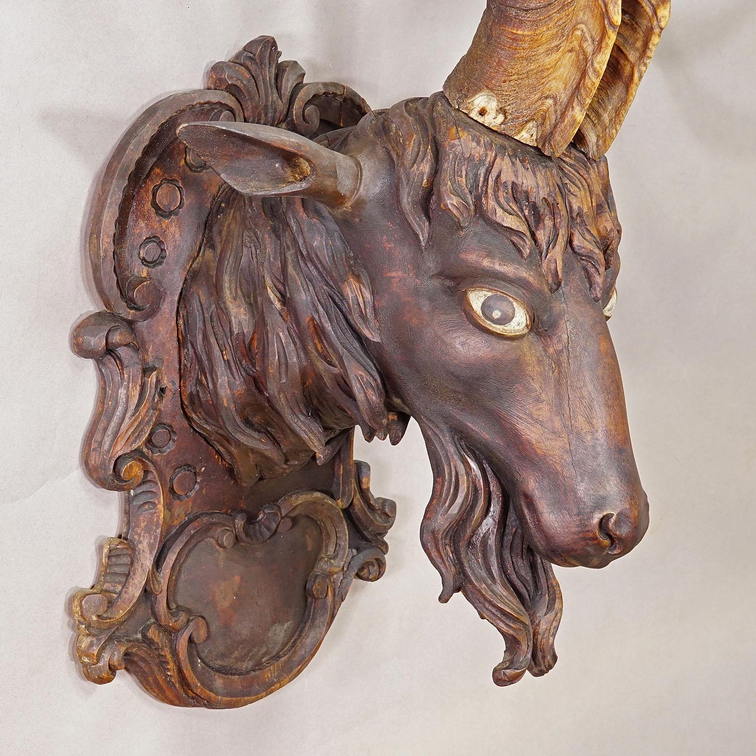 Cabeza de cabra tallada en Black Forest con grandes astas ca. 1900 Tallado a mano en venta