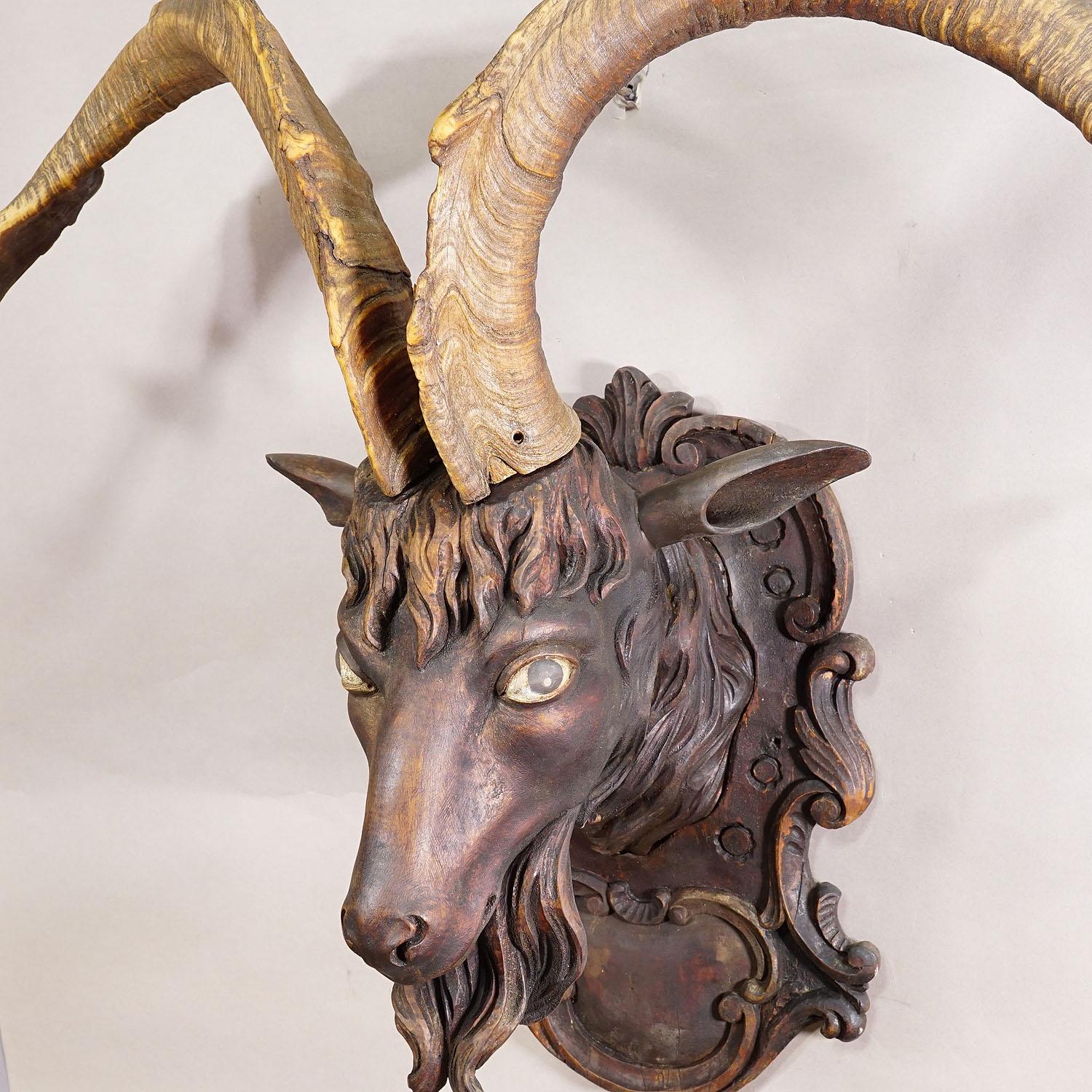 Cabeza de cabra tallada en Black Forest con grandes astas ca. 1900 en Bueno estado para la venta en Berghuelen, DE