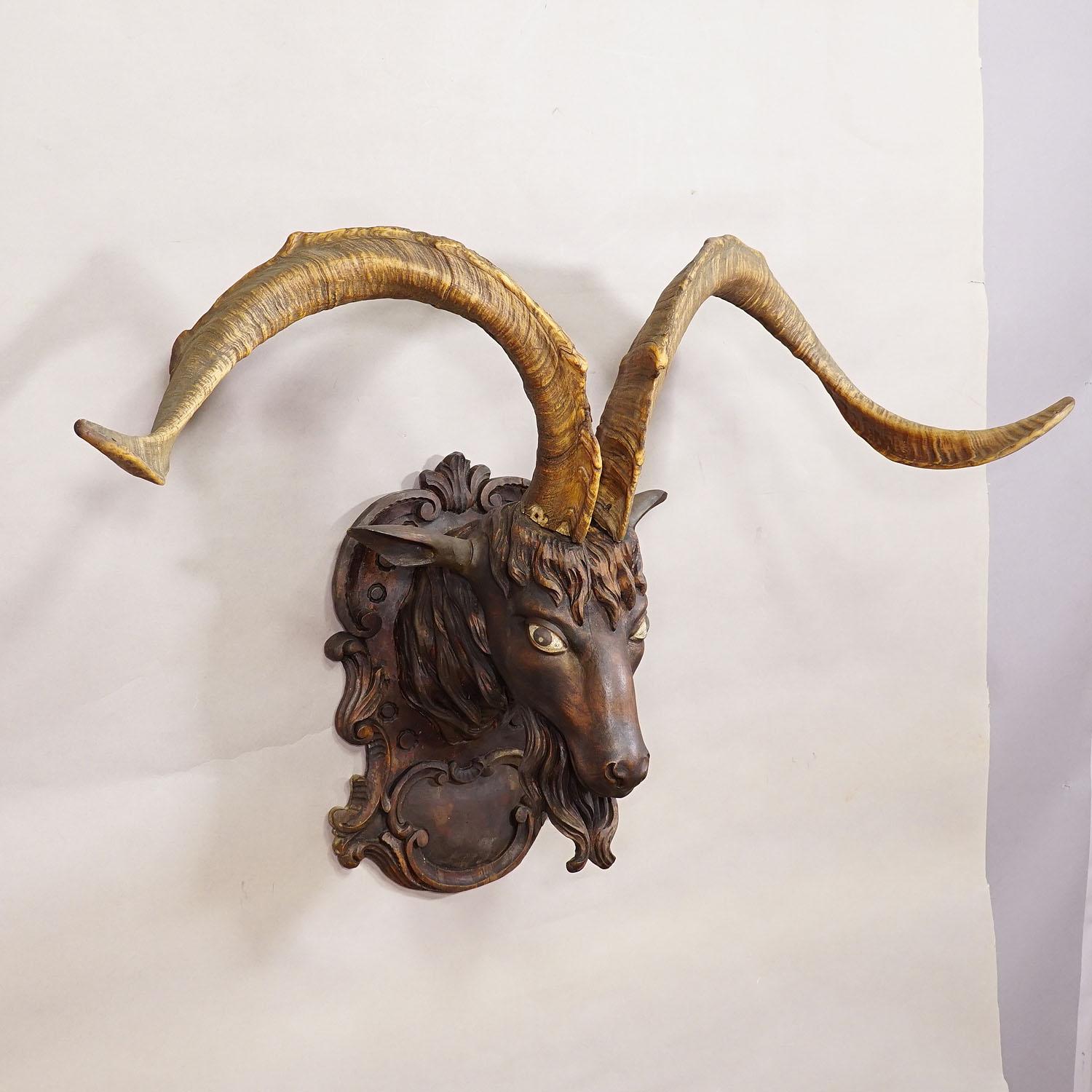 Cabeza de cabra tallada en Black Forest con grandes astas ca. 1900 siglo XX en venta