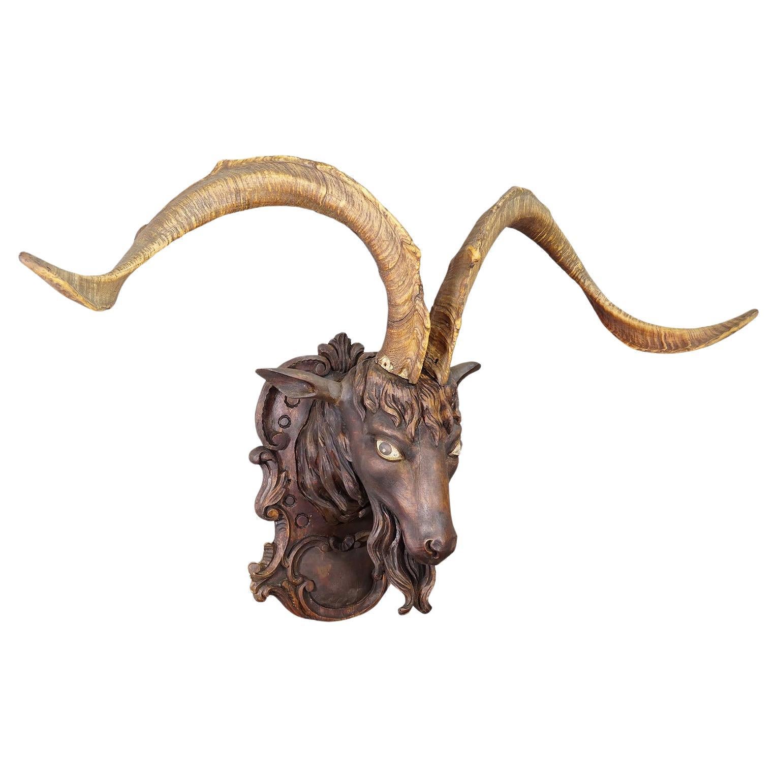 Black Forest Carved Goat Head with Large Antlers ca. 1900s