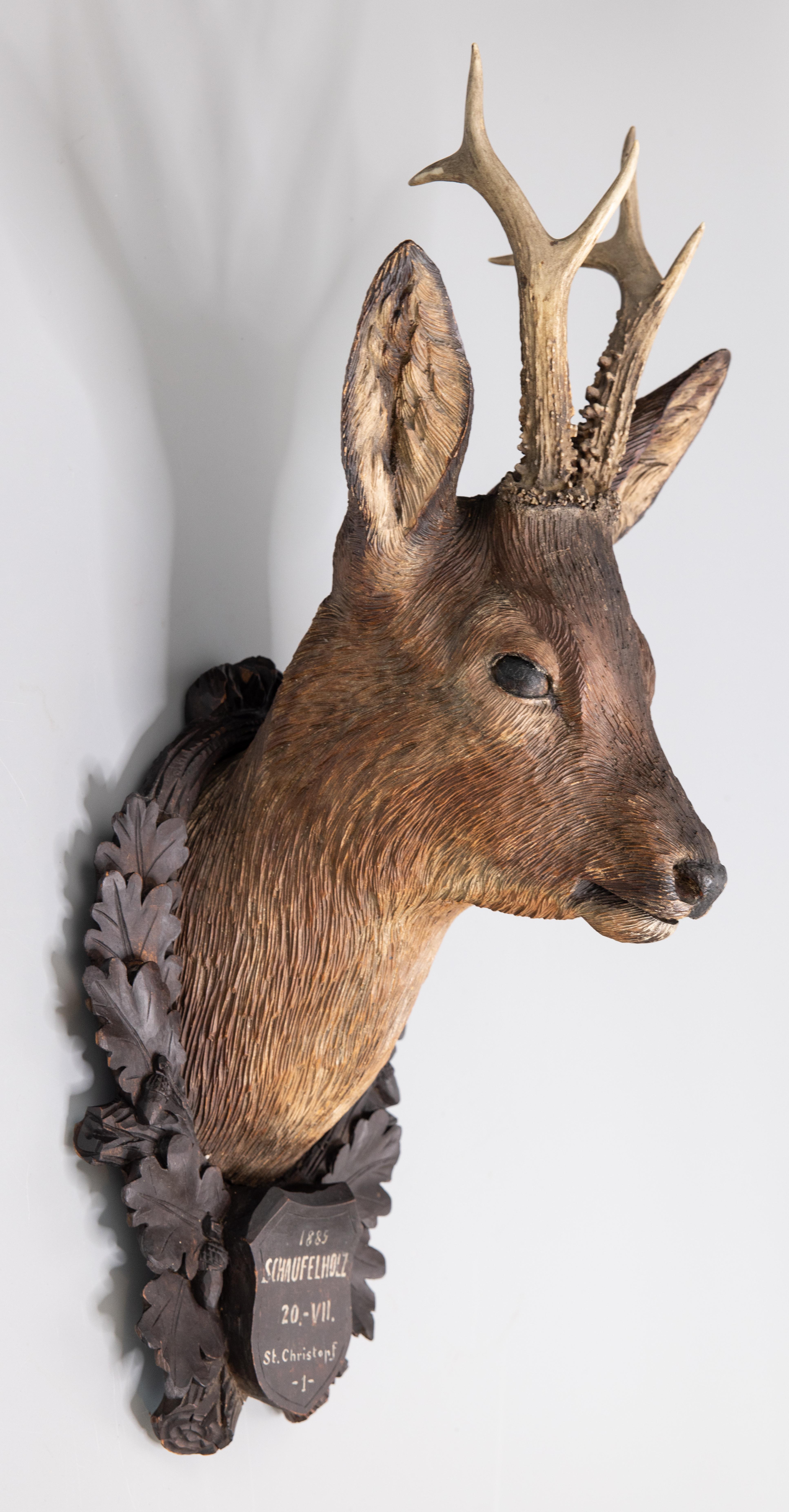 A superb antique hand carved wood stag or deer mount hunting trophy with real antler horns on a black forest plaque from Austria, dated July 20, 1885. The stag head is naturalistically carved with fine details and the plaque is decorated with oak
