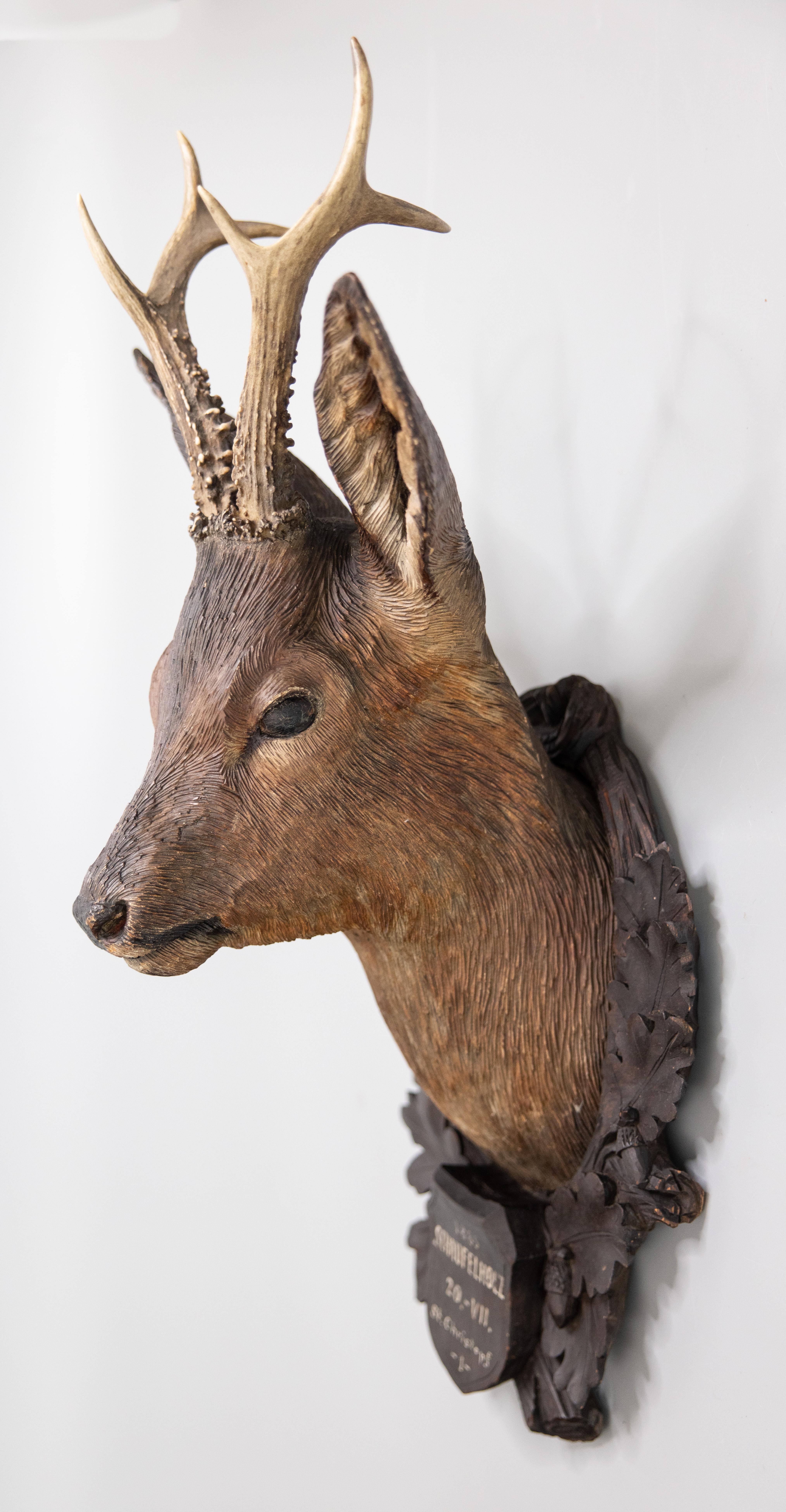 deer head mount plaque