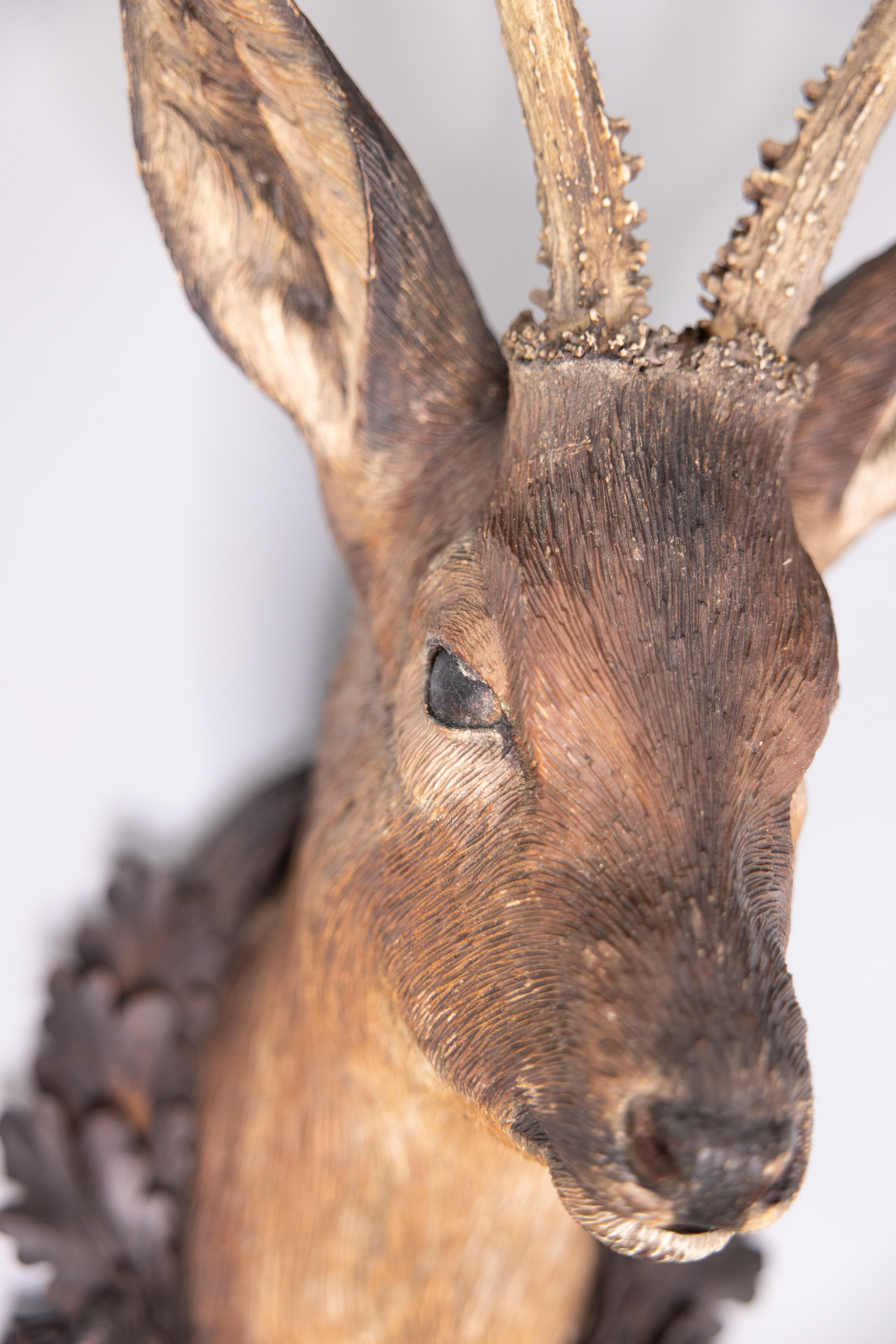 19th Century Black Forest Carved Stag Deer Head With Real Antlers Trophy Mount Plaque 1885