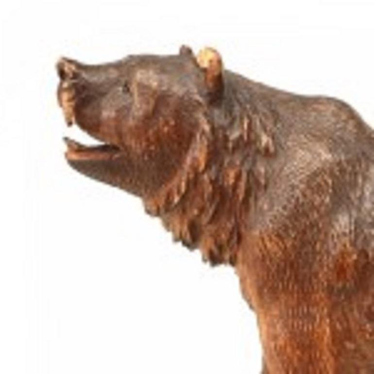 European Black Forest Carved Walnut Bear For Sale