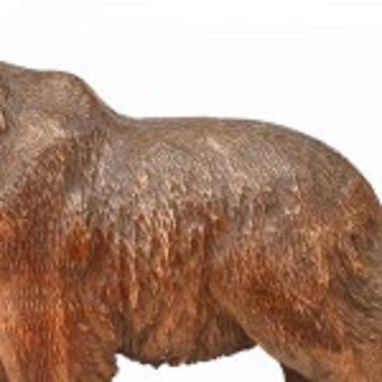 Black Forest Carved Walnut Bear In Good Condition For Sale In Queens, NY