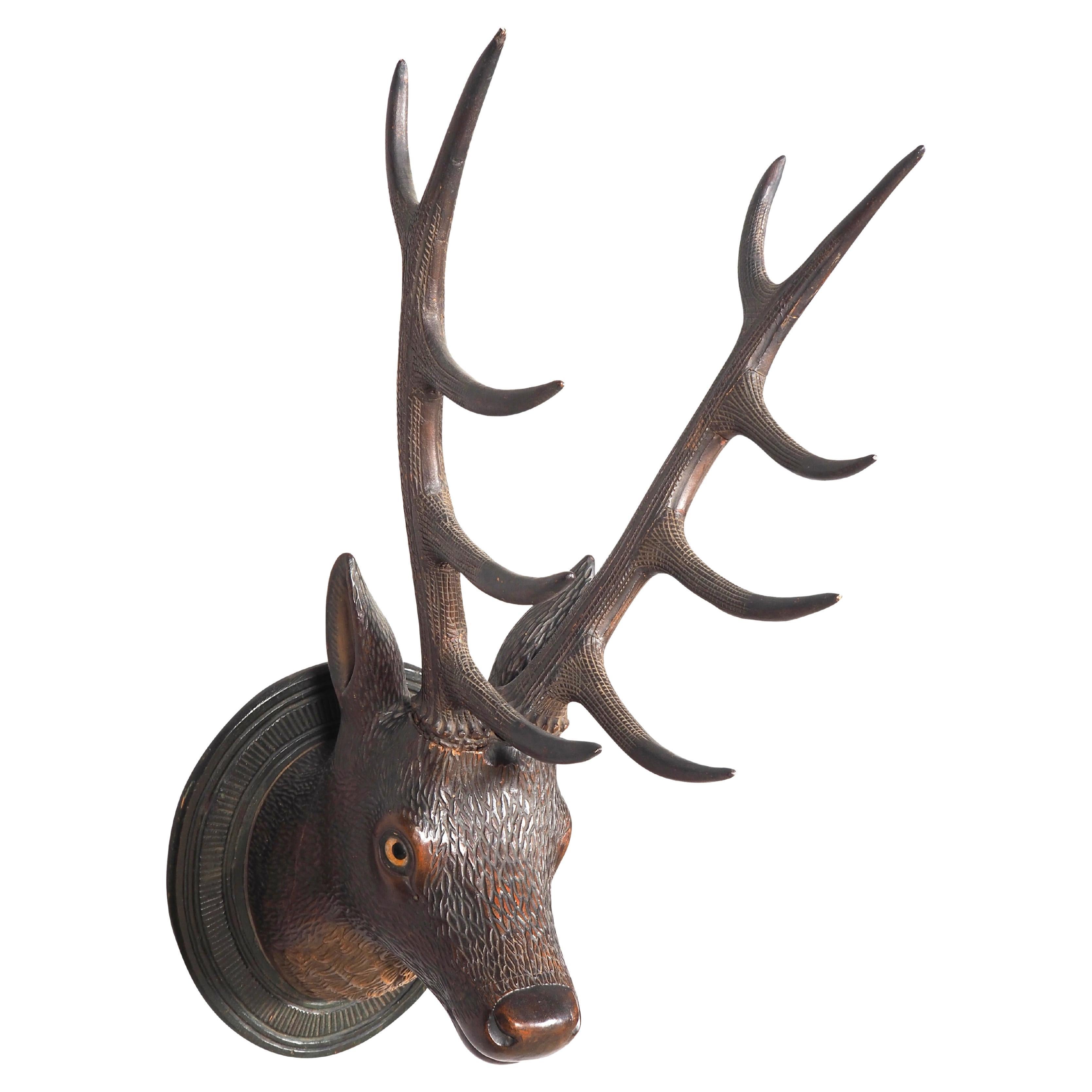 Black Forest Carved Walnut Deer Head Trophy Mount