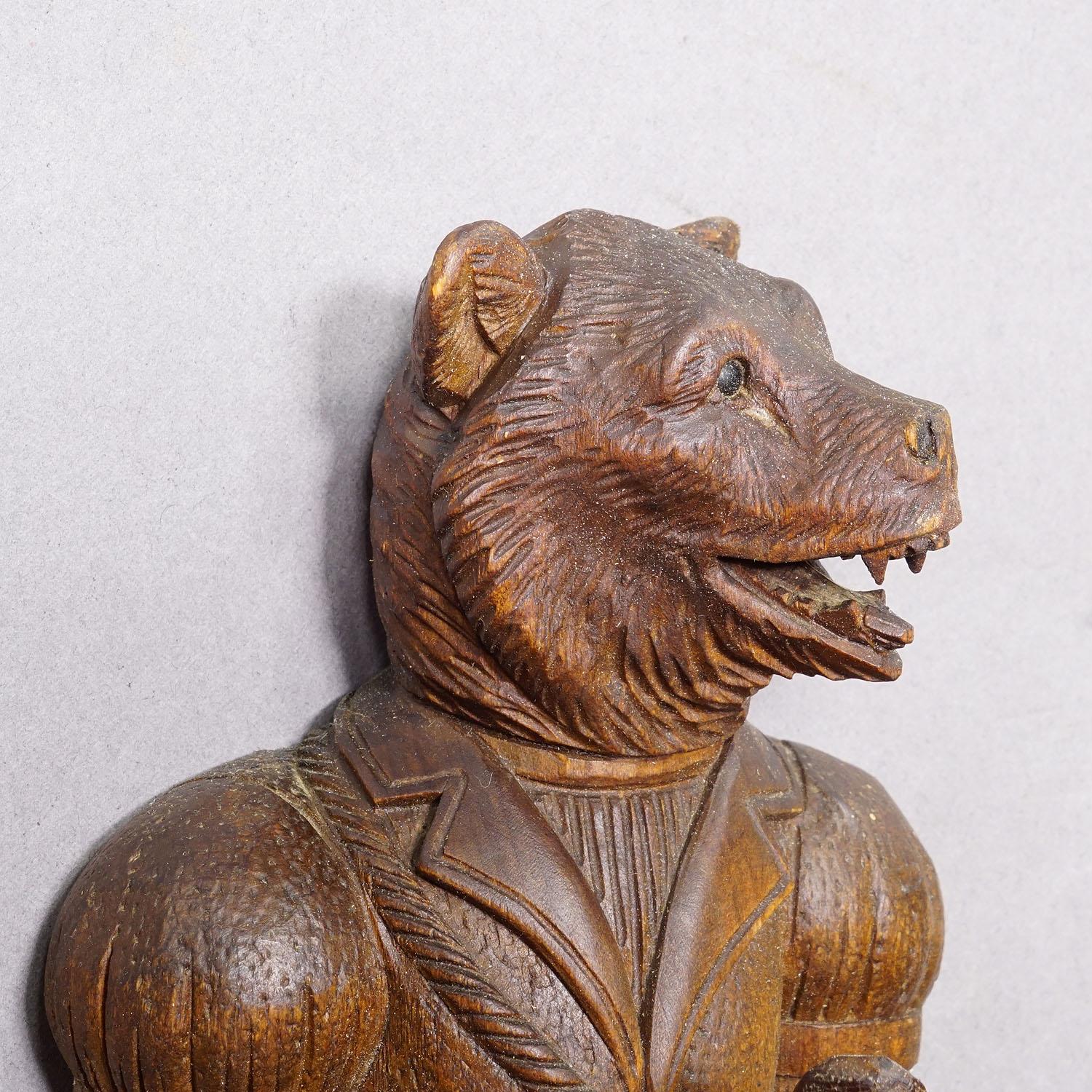 Black Forest Carved Whip Holder with Bear ca. 1900s principios del siglo XX en venta