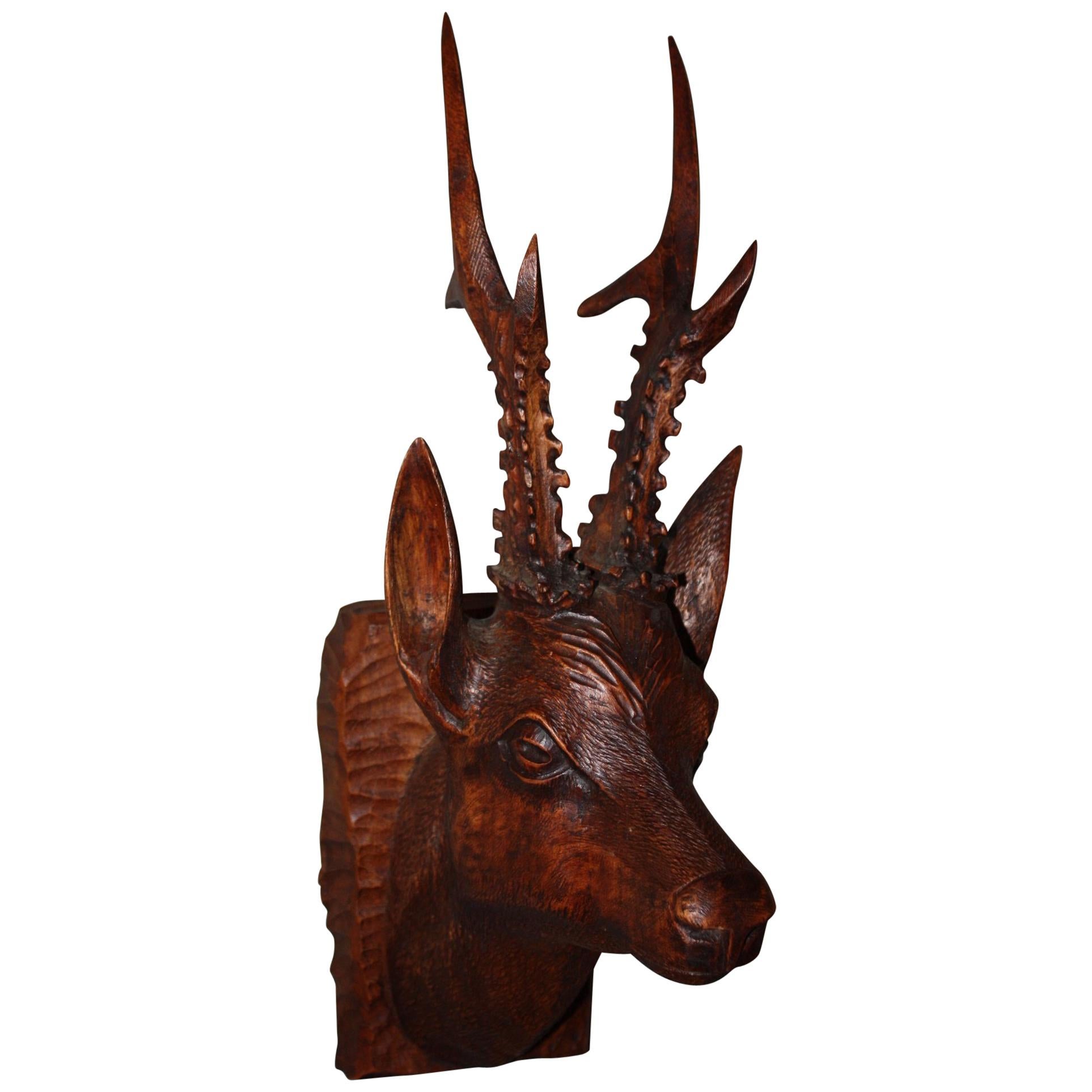 Black Forest Carved Wood Deer Head