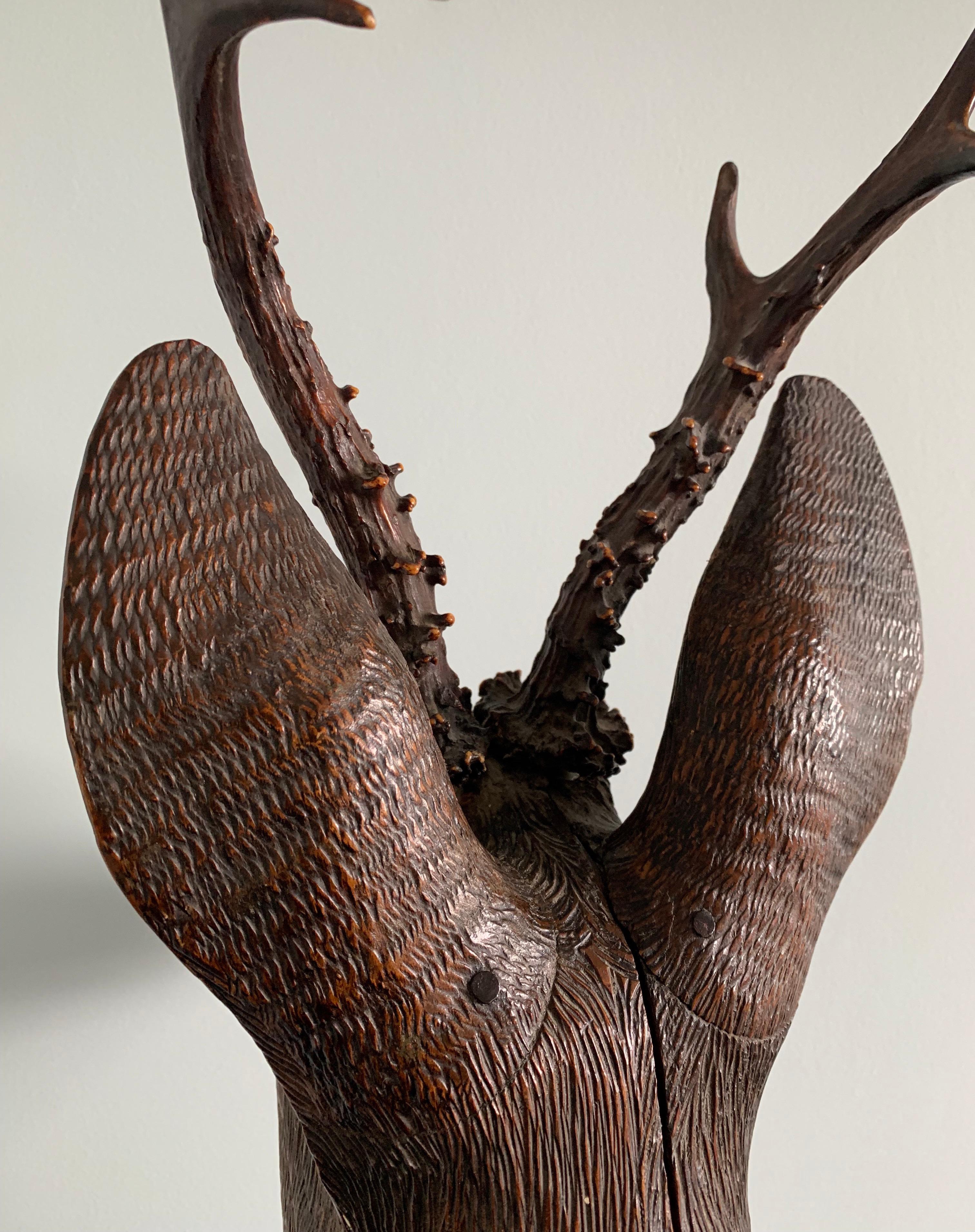 Black Forest Carved Wood Deer Head with Real Antlers, circa 1900 For Sale 6