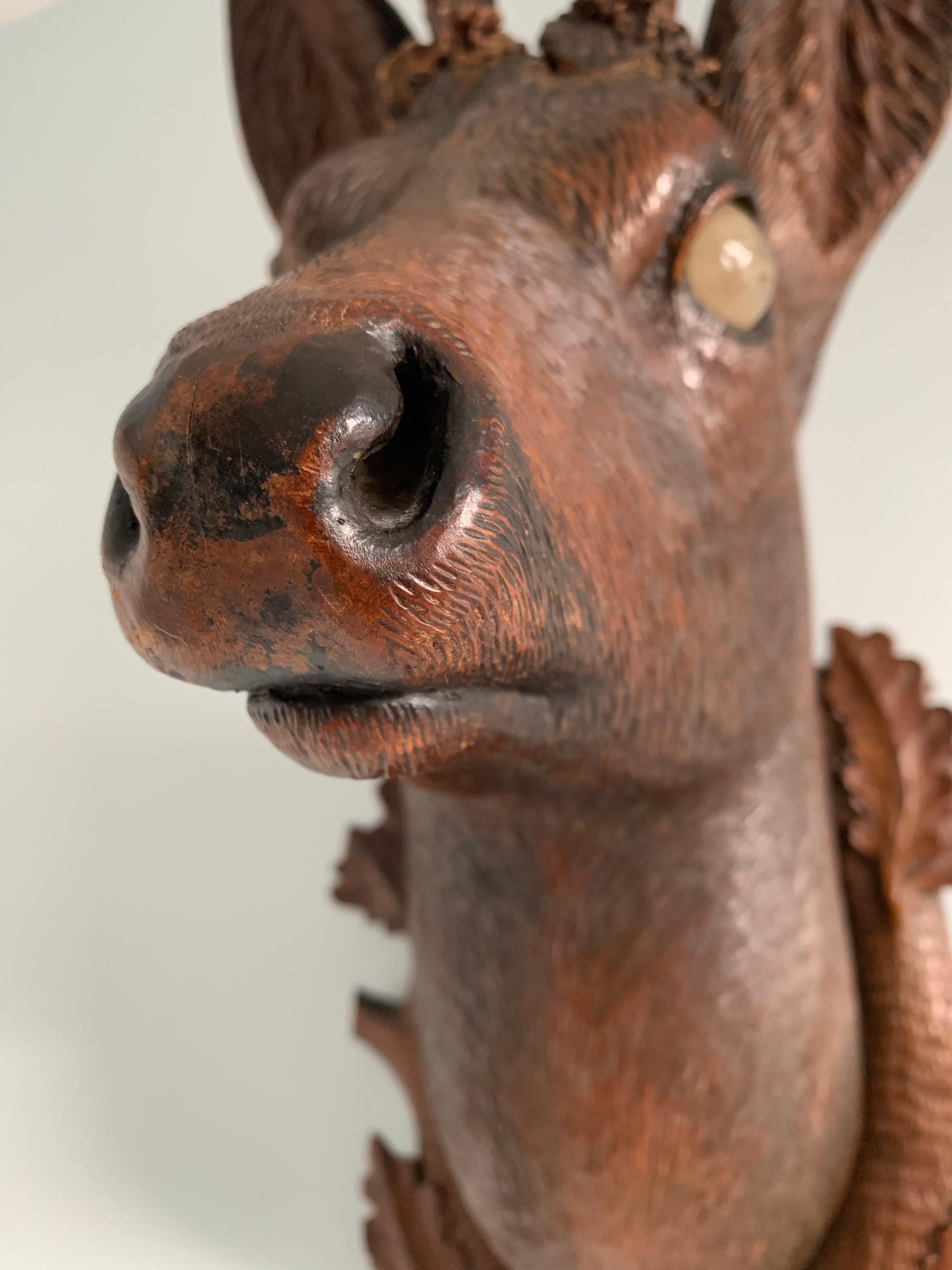 Black Forest Carved Wood Deer Head with Real Antlers, circa 1900 For Sale 7