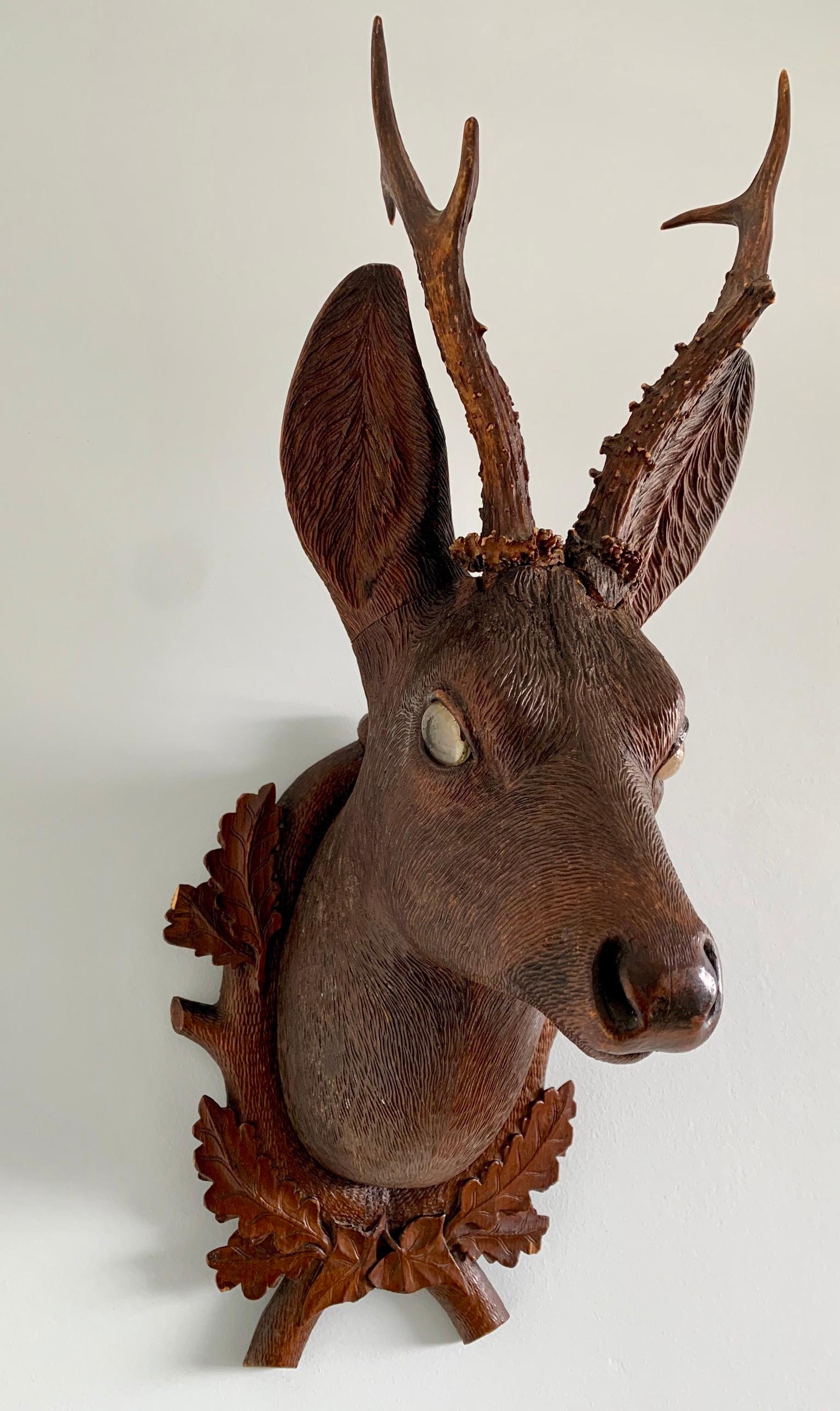 Black Forest Carved Wood Deer Head with Real Antlers, circa 1900 For Sale 9