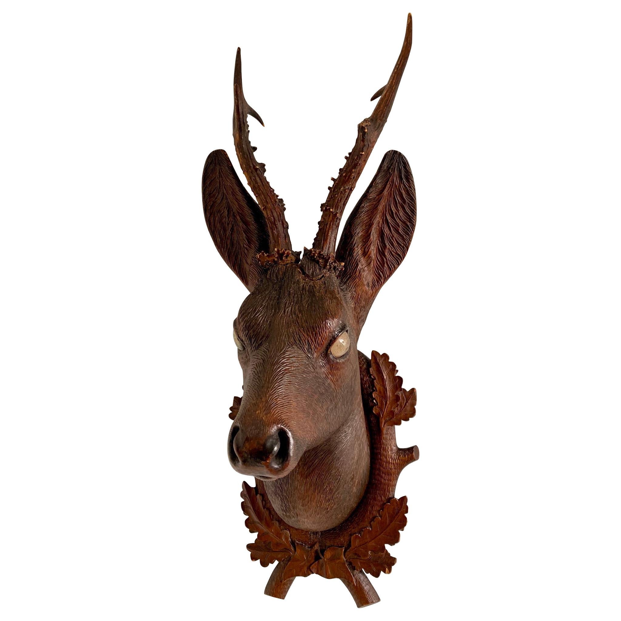 Black Forest Carved Wood Deer Head with Real Antlers, circa 1900 For Sale