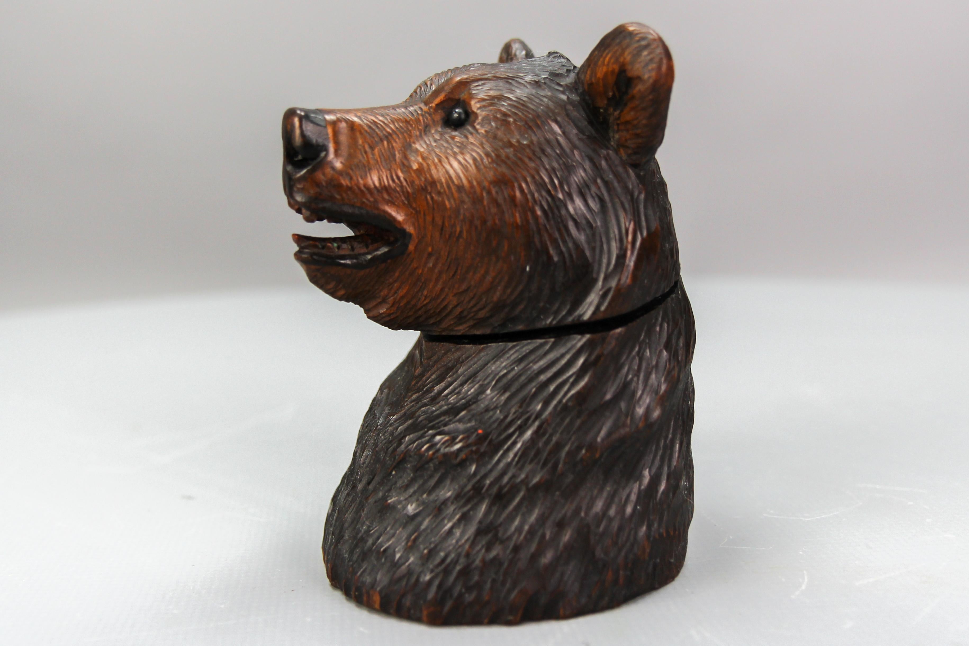 Black Forest Carved Wood Figural Humidor Bear Head with Glass Eyes For Sale 6