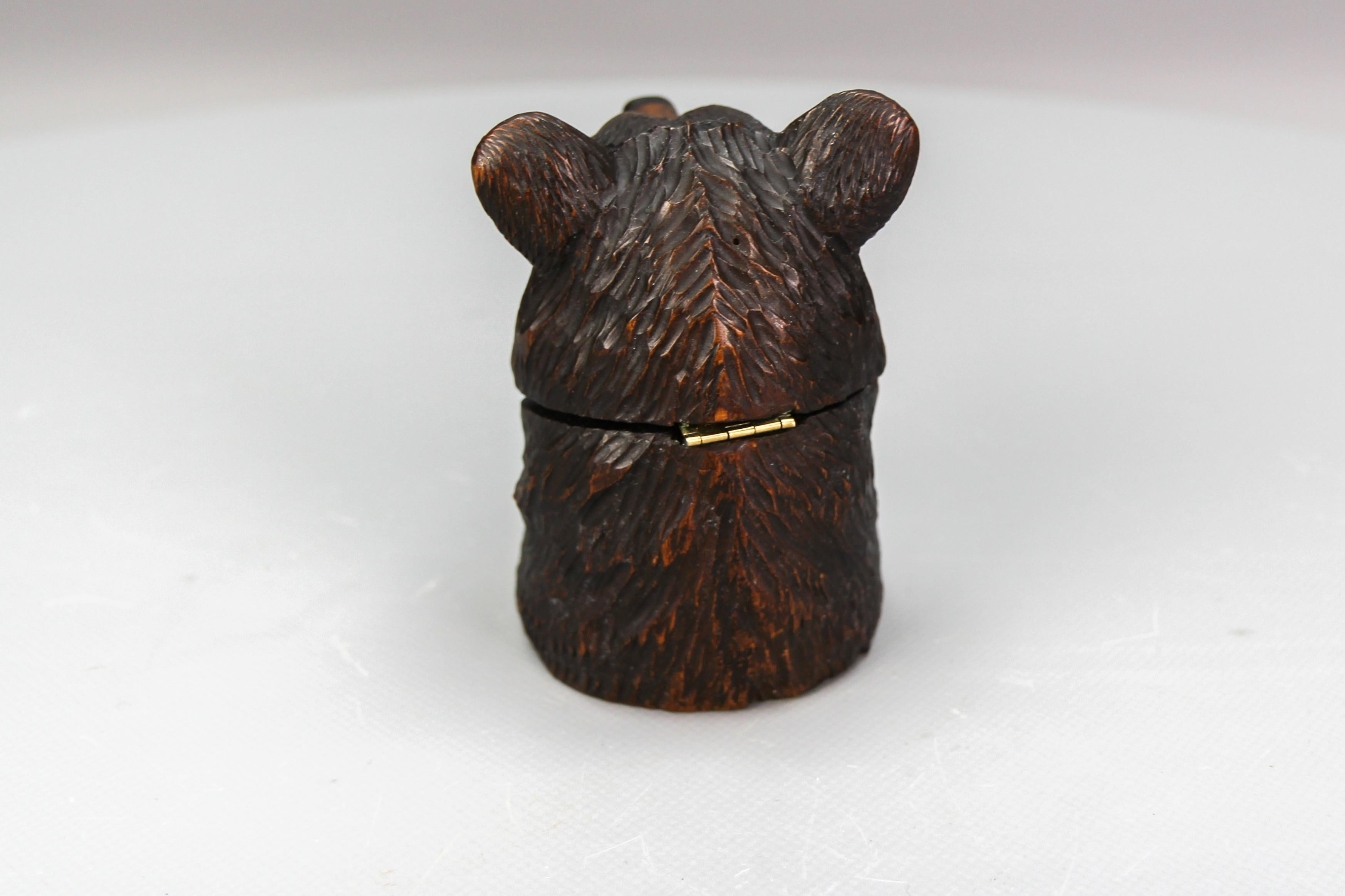 Black Forest Carved Wood Figural Humidor Bear Head with Glass Eyes For Sale 7